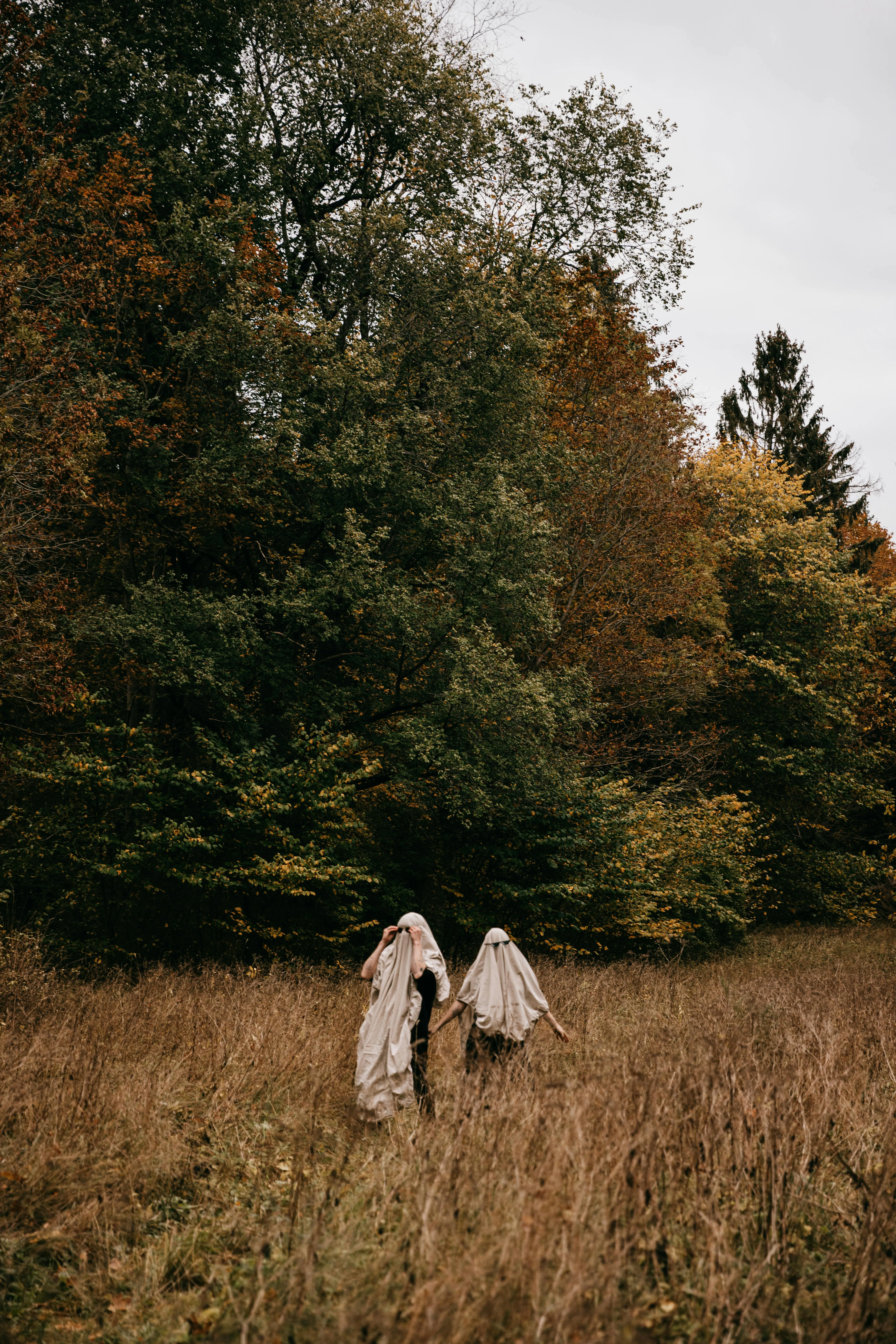 Ghosts Roaming Autumn Festival Field free HD Wallpaper