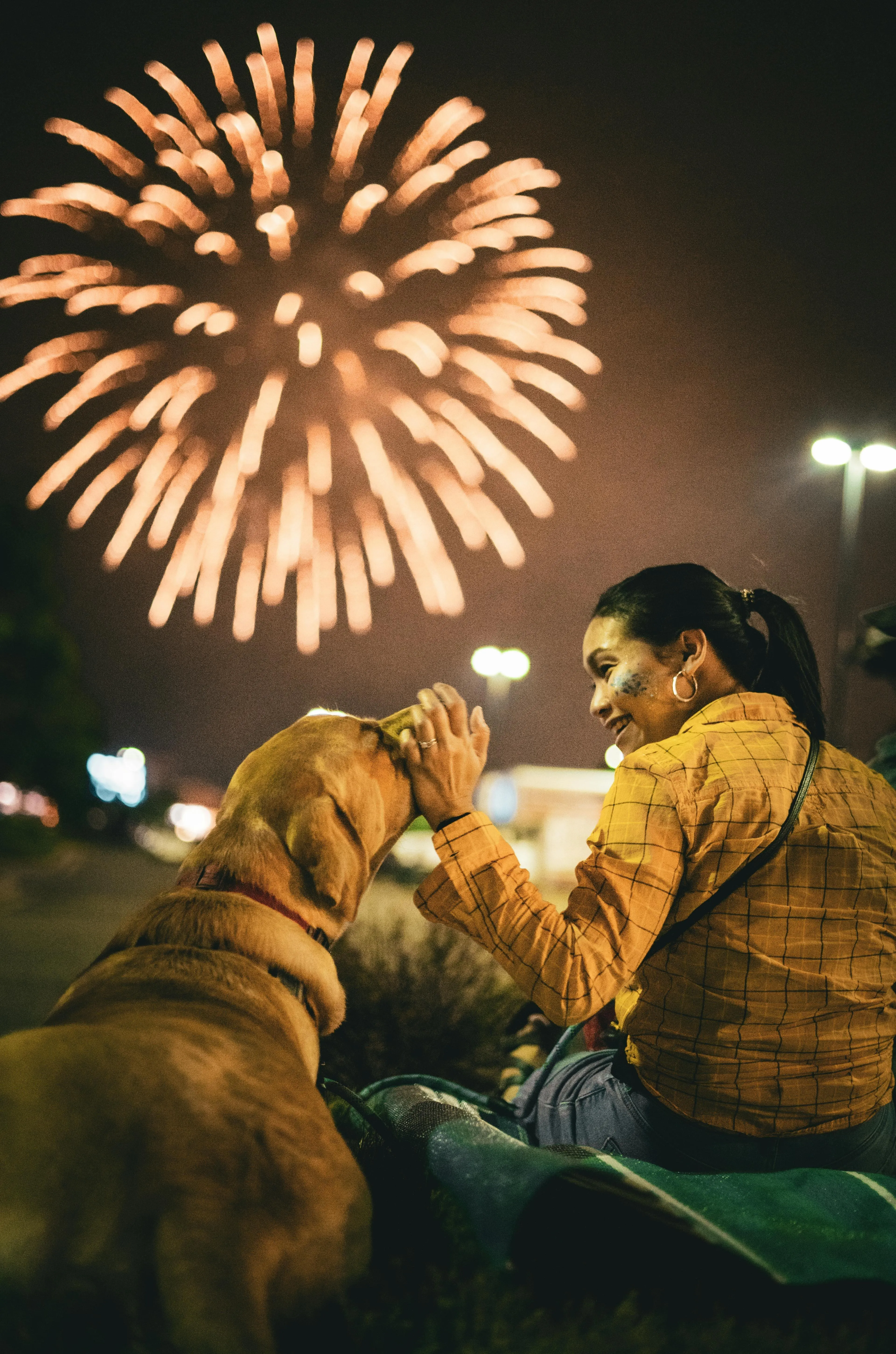 Girl and Dog Watching Fireworks Together on a Cozy Night