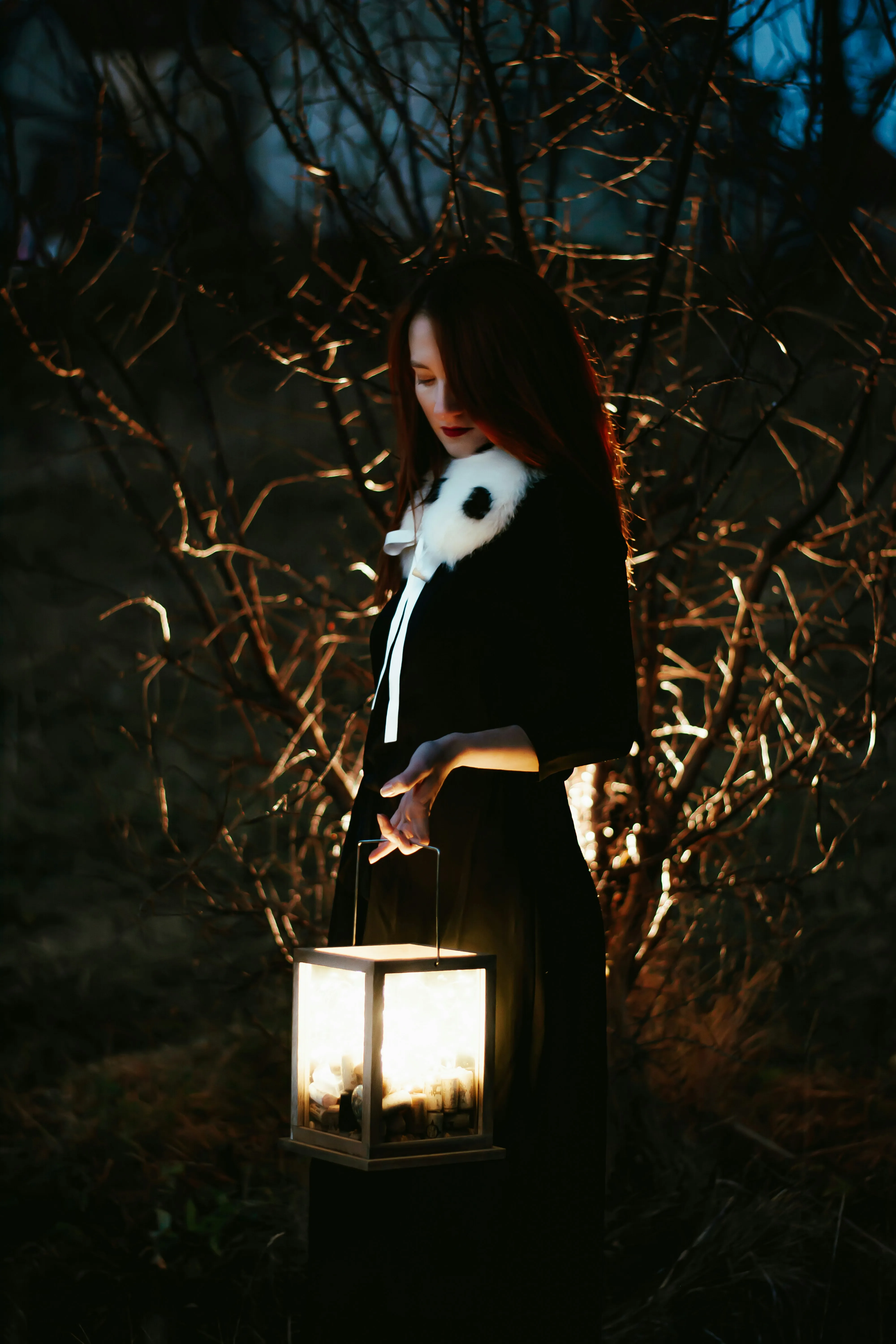 Girl Holding Lantern in Spooky Halloween Forest Wallpaper