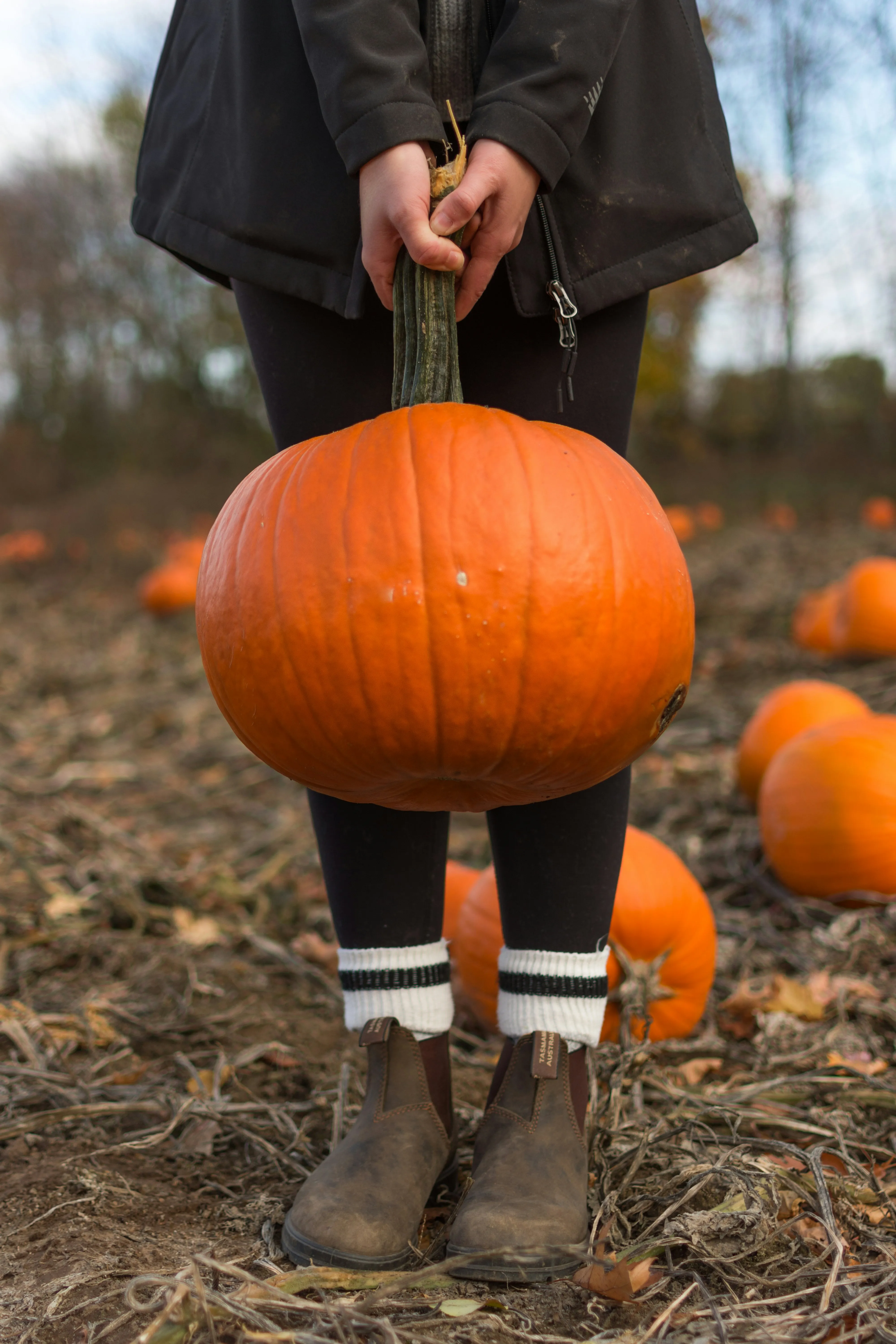 Girl Holding Pumpkin in Rustic Fall Farm Setting Wallpaper