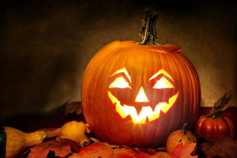 Glowing Carved Jack O Lantern Surrounded By Autumn Fruits