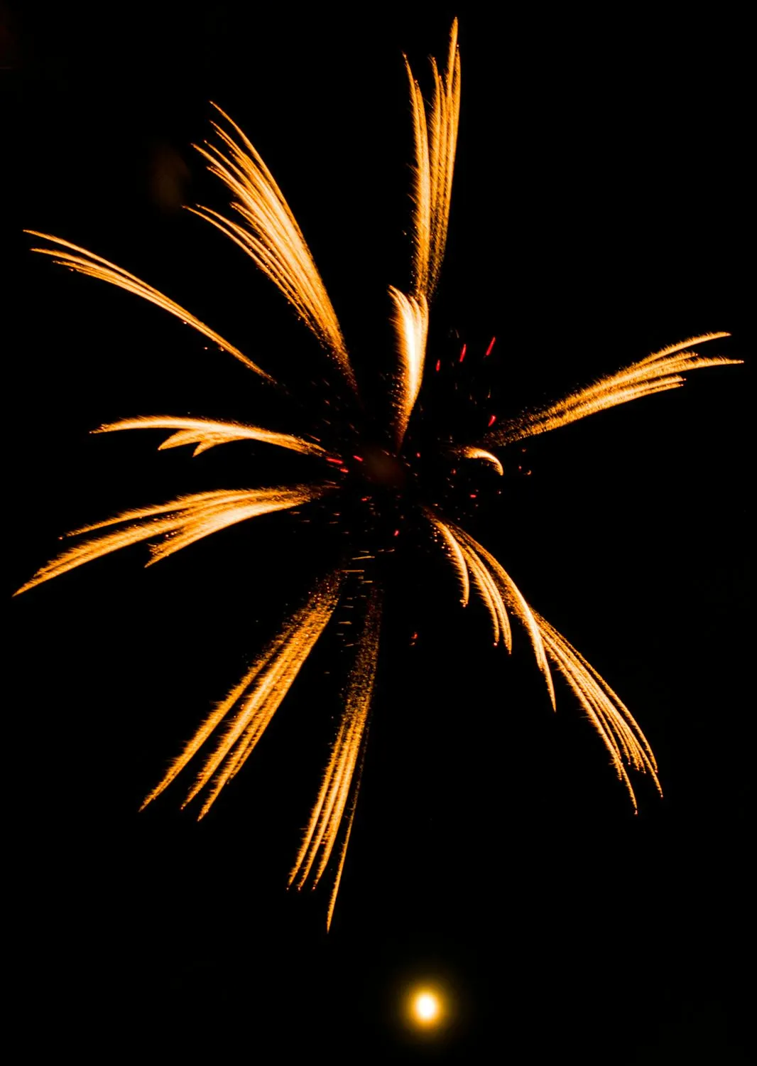 Glowing Golden Fireworks in the Dark Night Sky 4K image