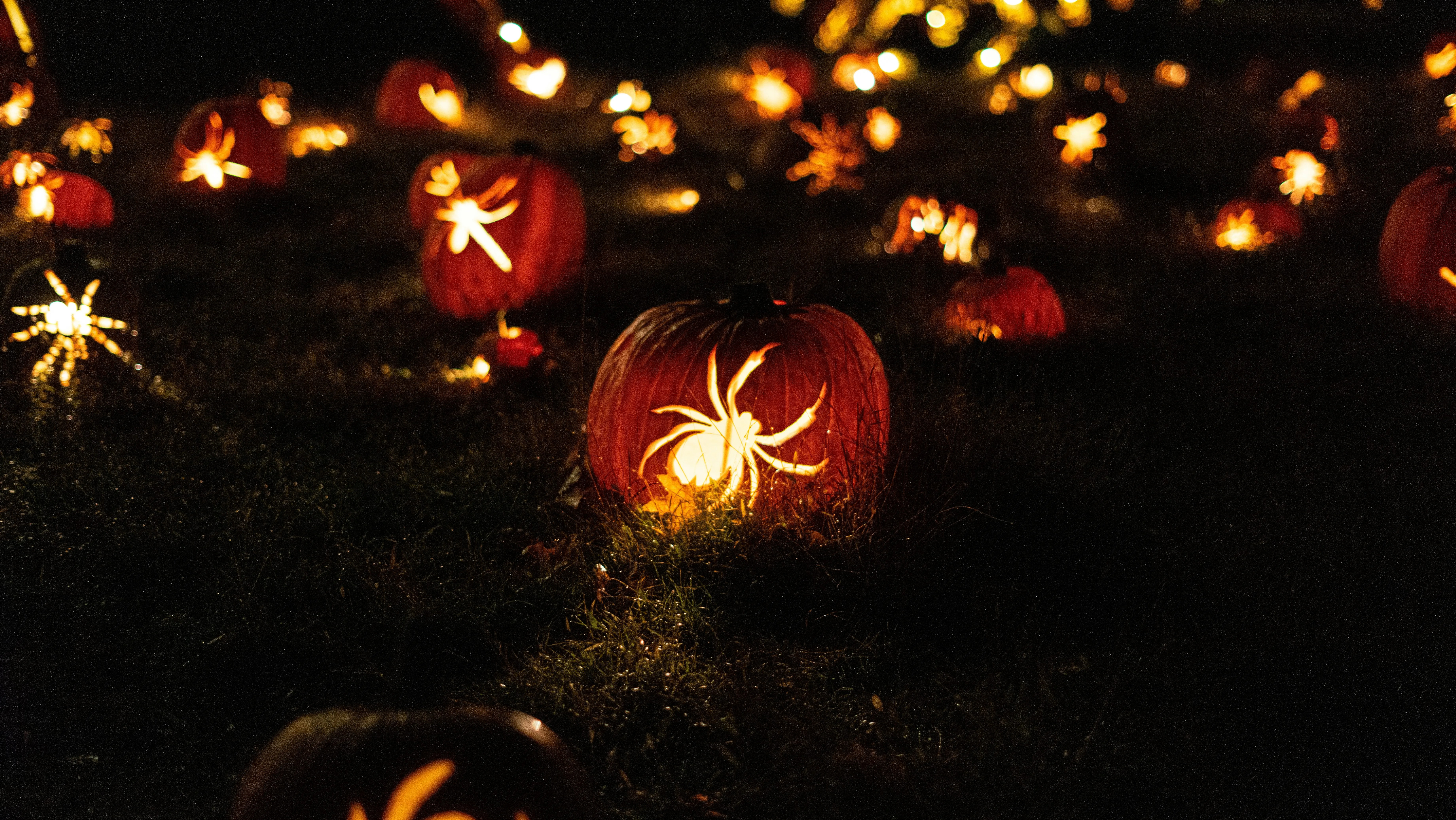 Glowing Halloween Pumpkins with Night Decorations Wallpaper