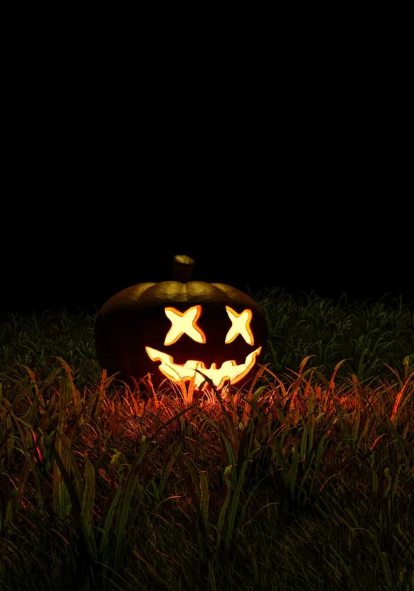 Glowing Jack O Lantern at Night in The Field HD Wallpaper