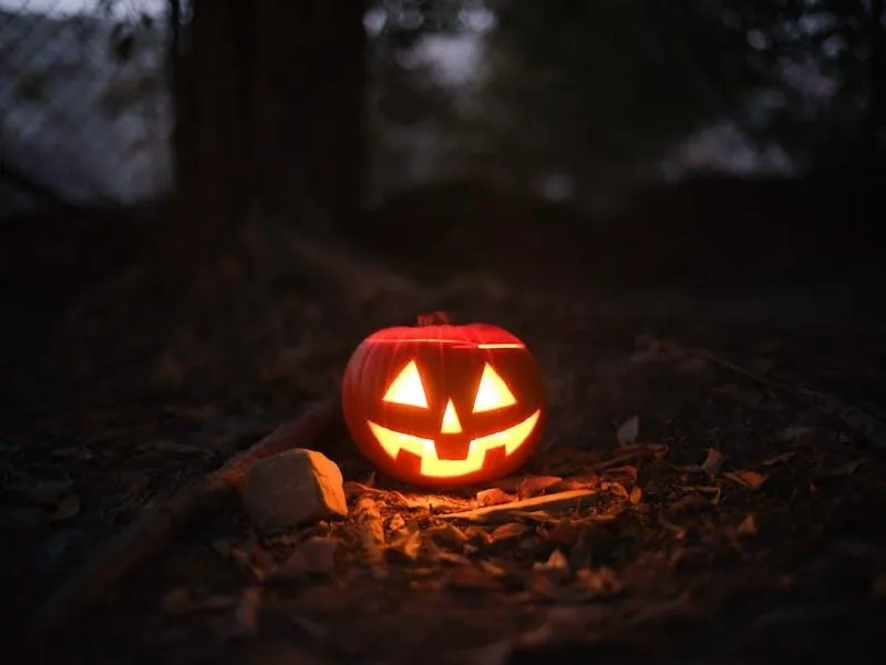 Glowing Jack O Lantern on Dark Forest Floor at Night