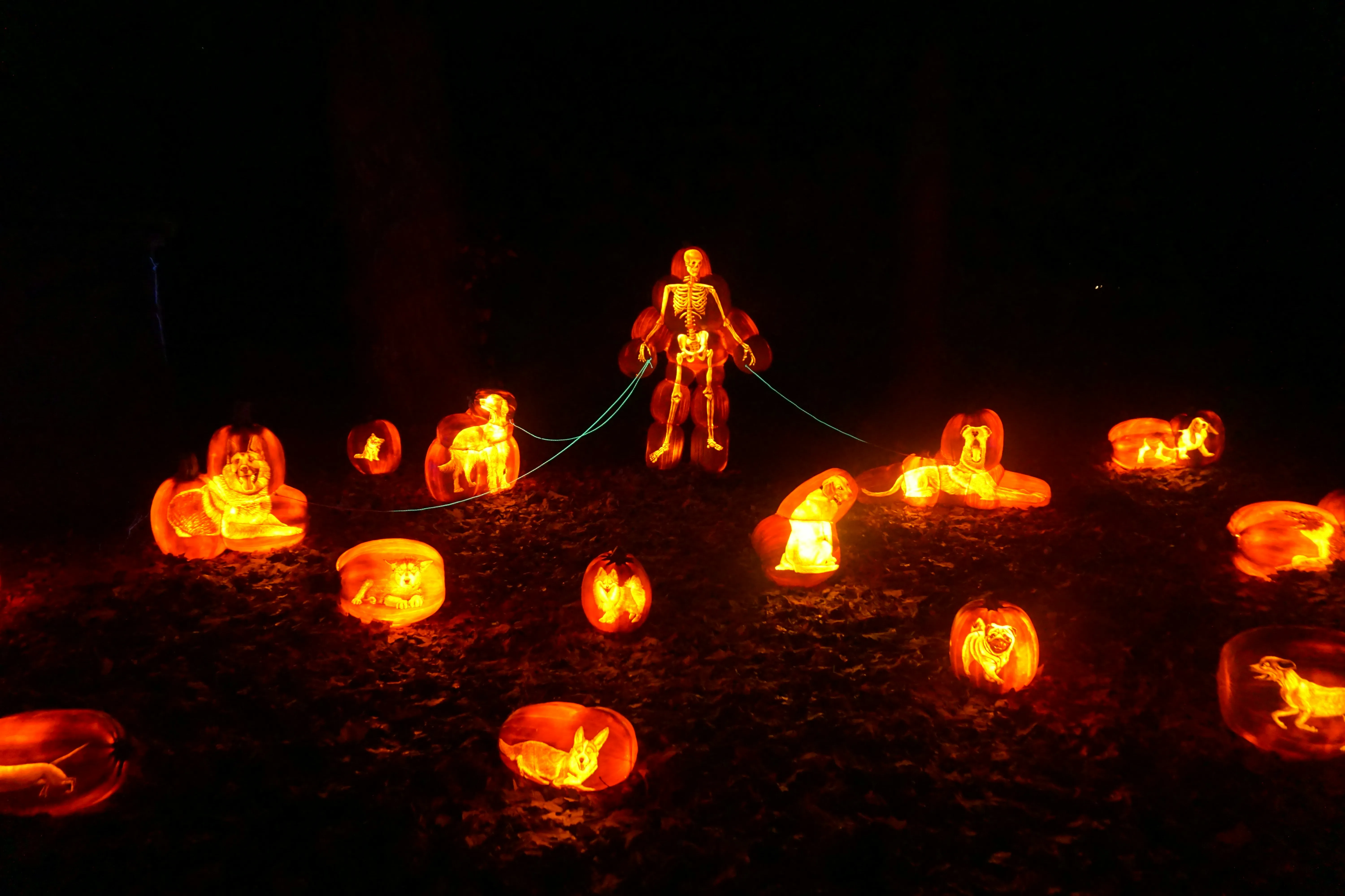 Glowing Pumpkins in Dark Field with Orange Glowing Skeleton