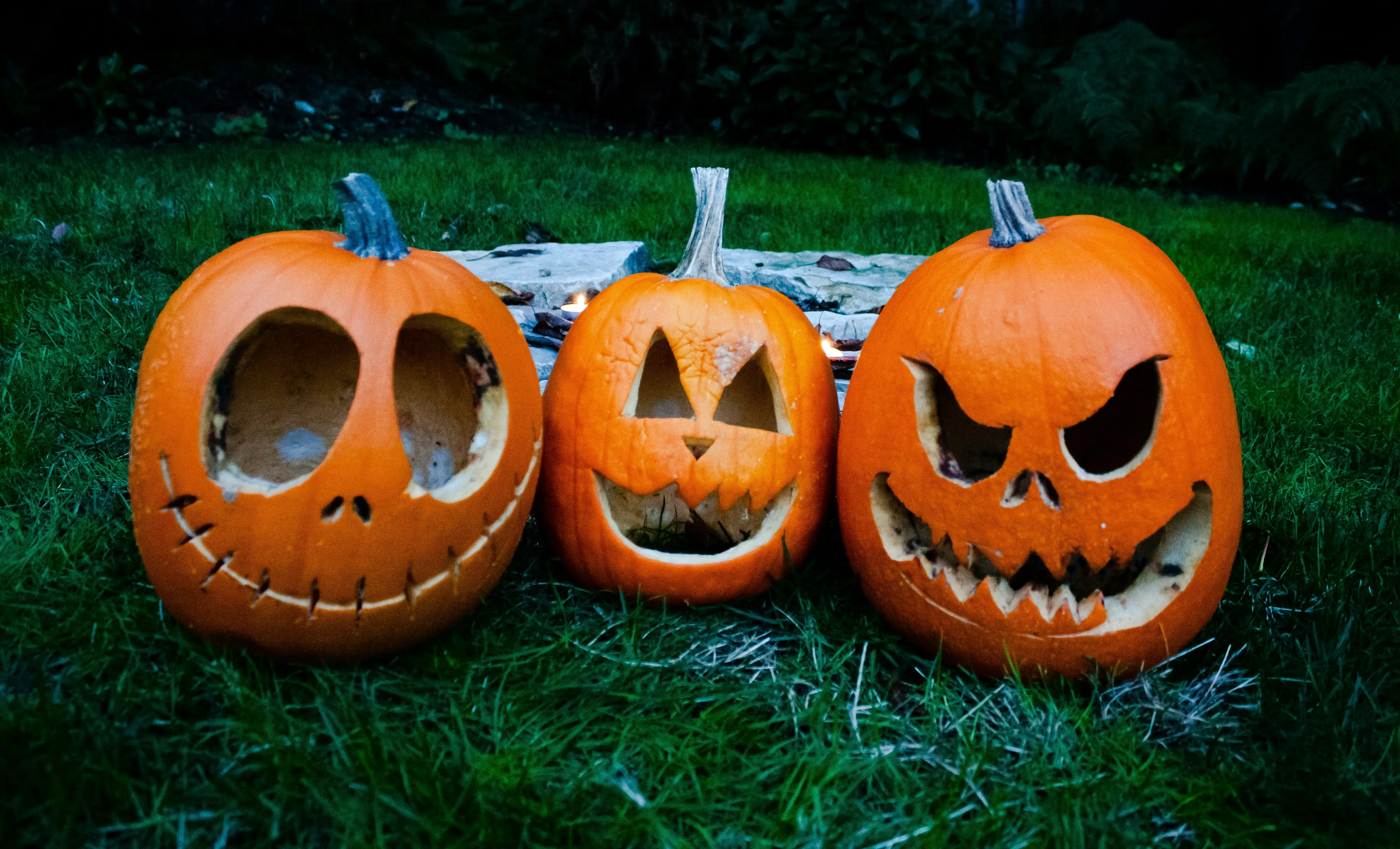 Glowing Pumpkins with Funny Carved Faces on Grass Image
