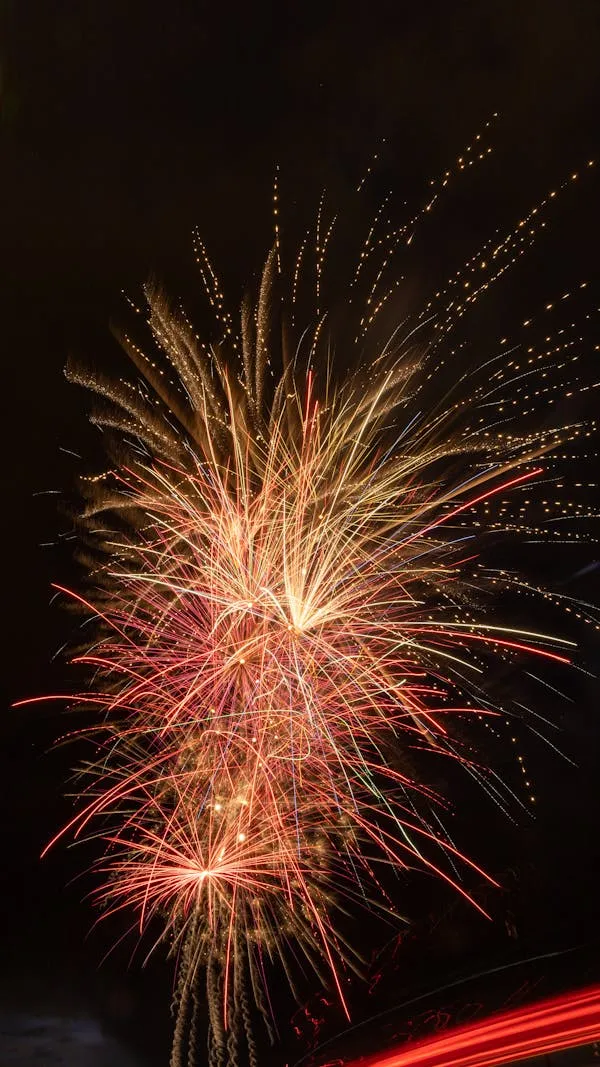 Golden And Red Fireworks Lighting up The Night image