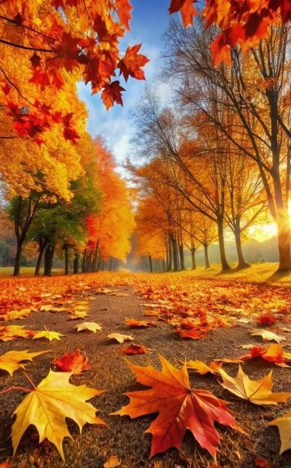 Golden Fall Leaves Littered Pathway in Autumn Forest Image