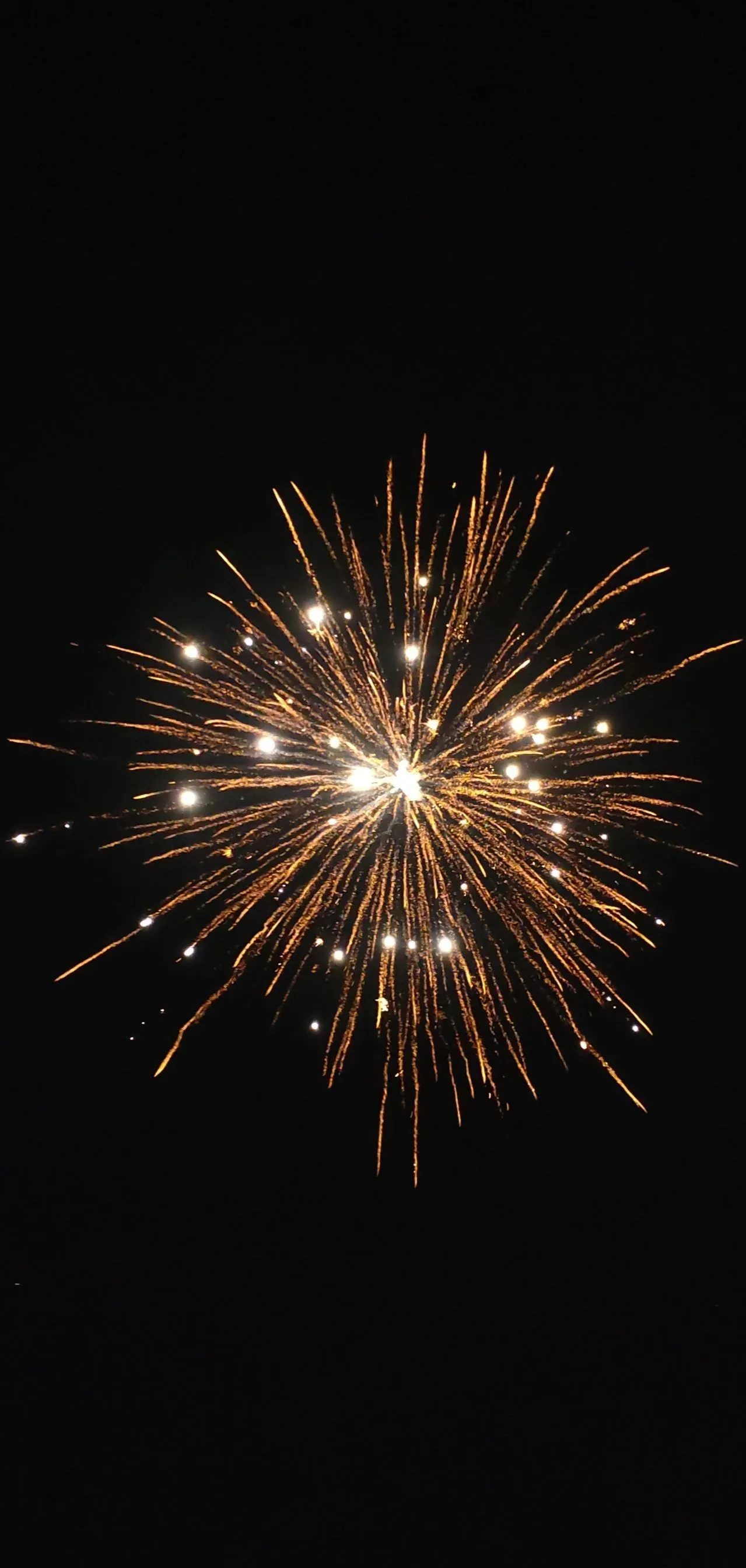 Golden fireworks burst straight up in the night sky