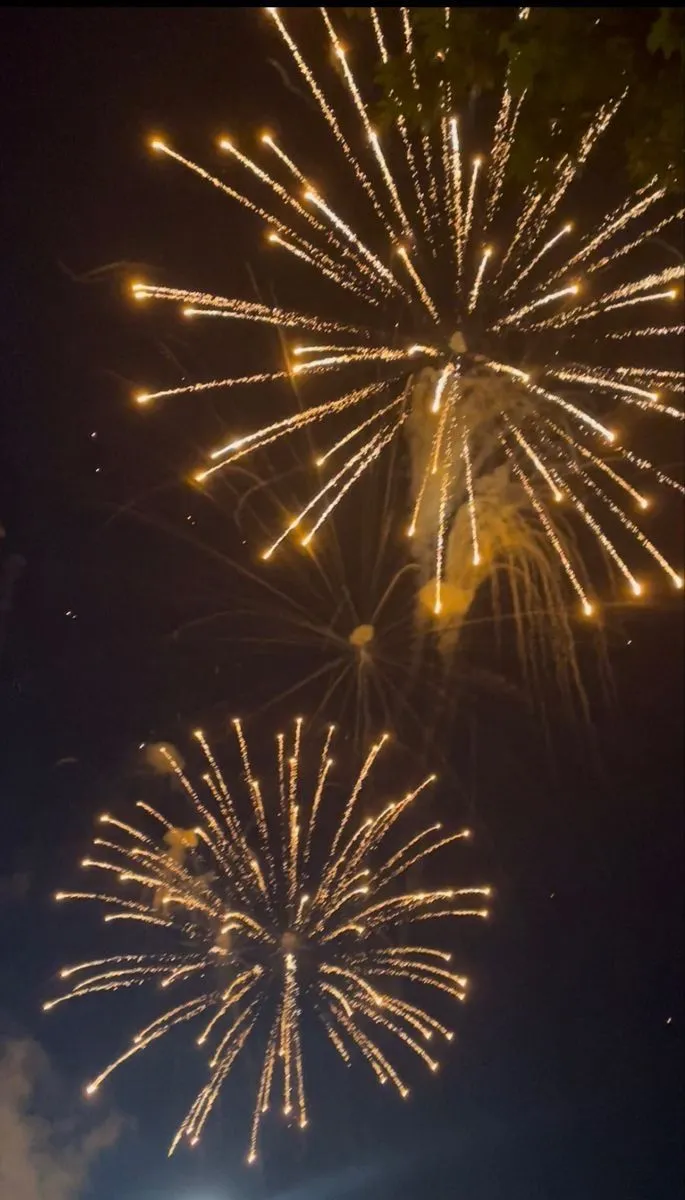 Golden sparkling fireworks bursting in the night sky
