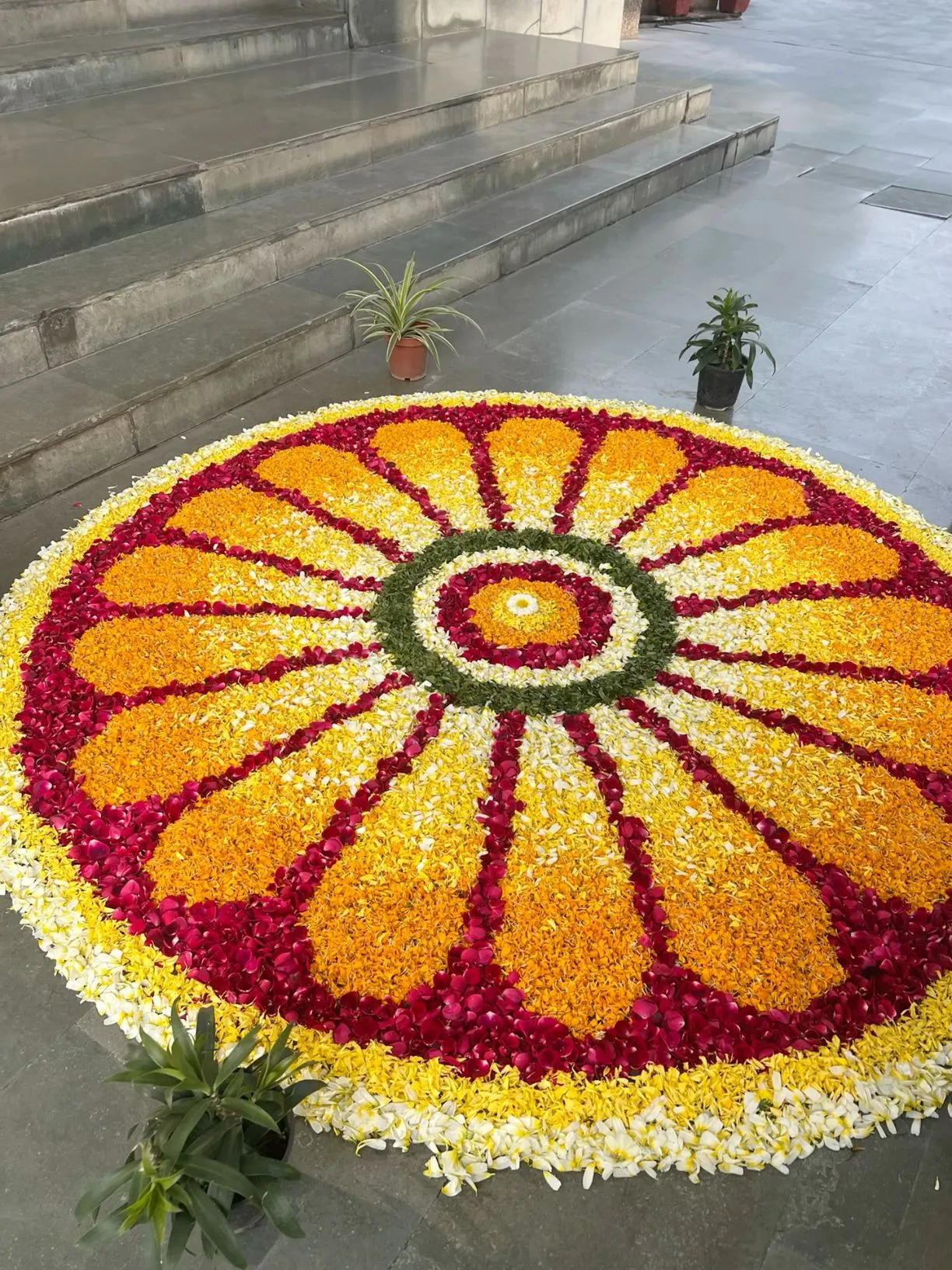 Grand circular pookolam with radiating petal design image