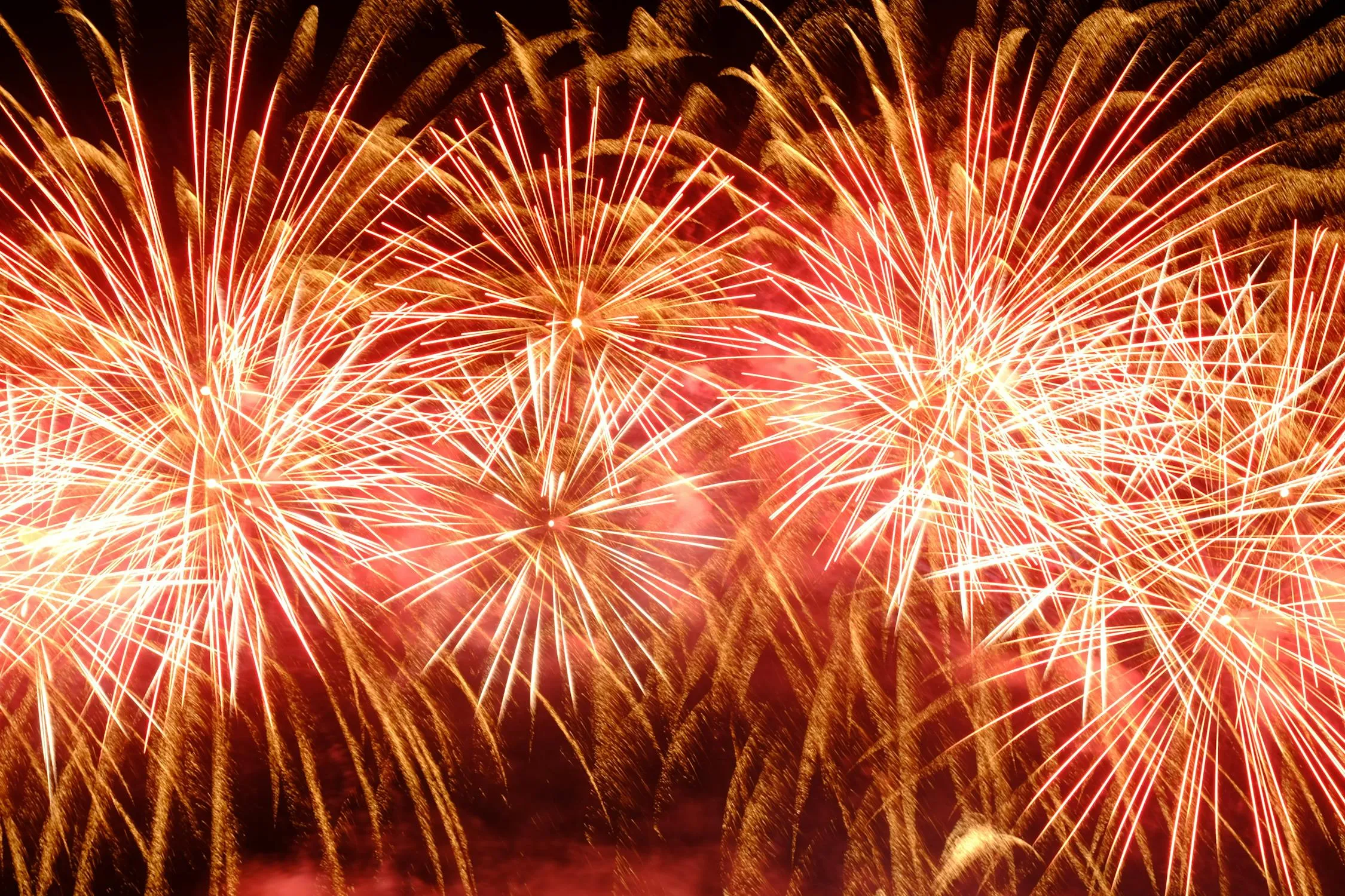 Grand display of red and gold fireworks in the night sky