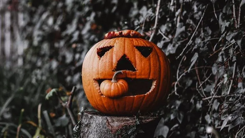Grinning Jack O Lantern on Twigs and Leaves Wallpaper
