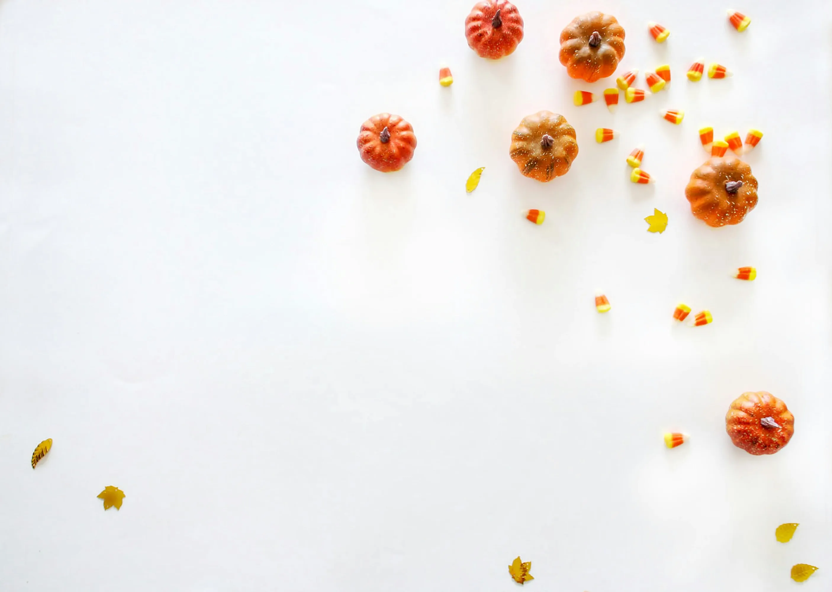 Halloween Decoration with Small Pumpkins and Autumn Flowers