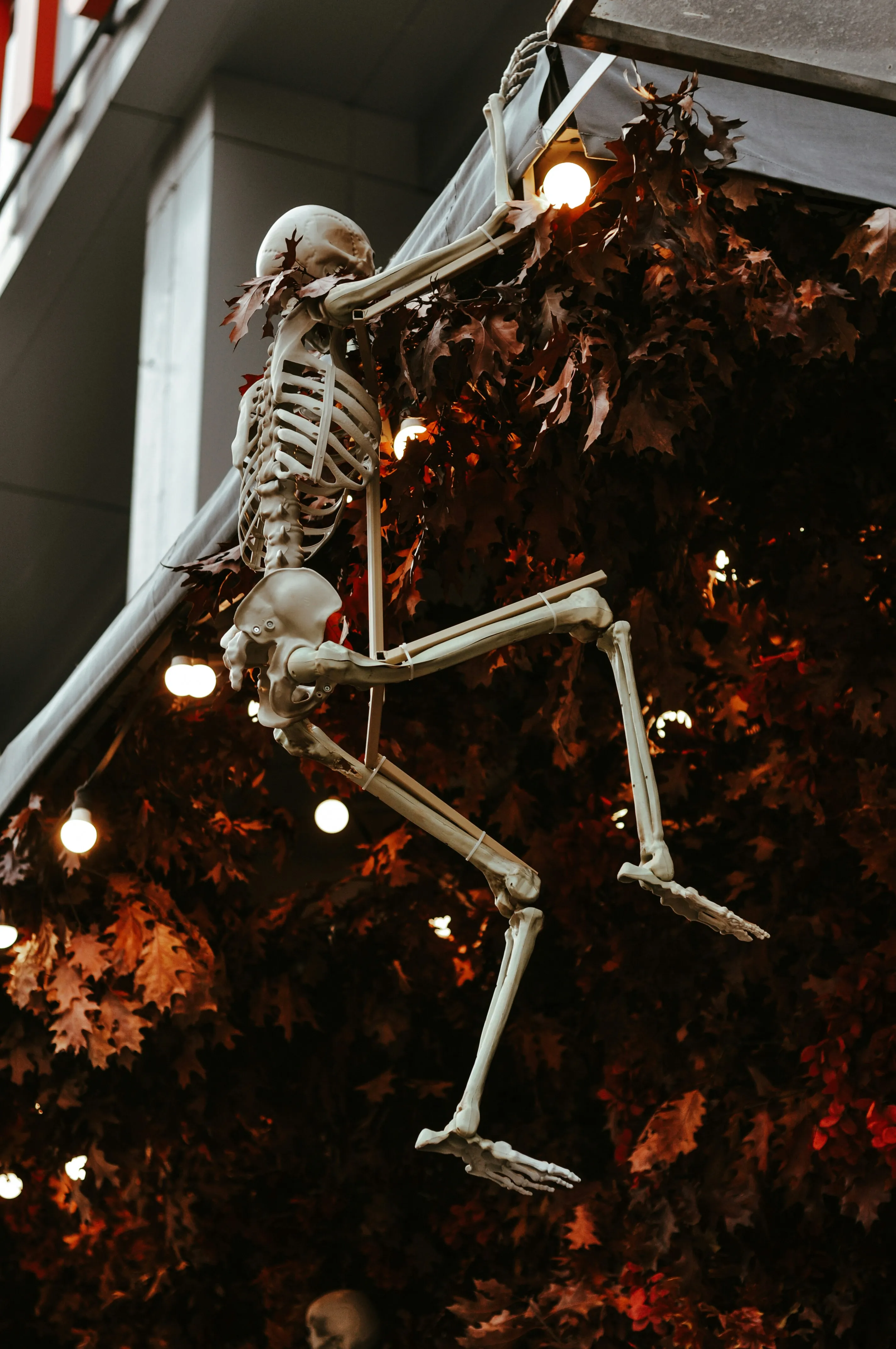 Halloween Festival Skeleton Decoration Idea Wallpaper