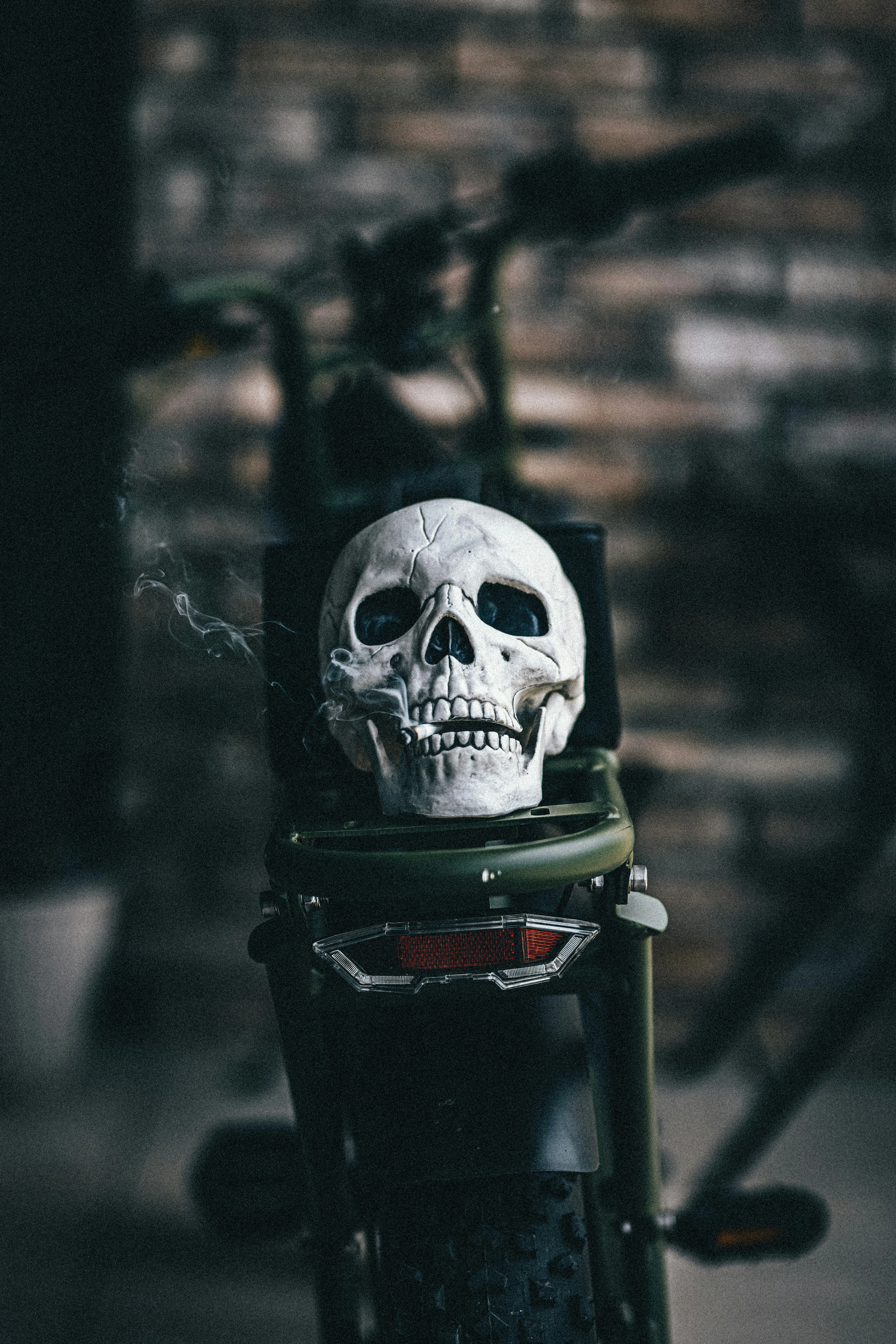 Halloween Festival Skull Decoration Close up Wallpaper