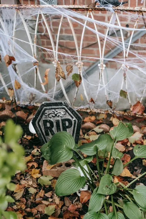 Halloween Graveyard Decor with RIP Sign HD Wallpaper