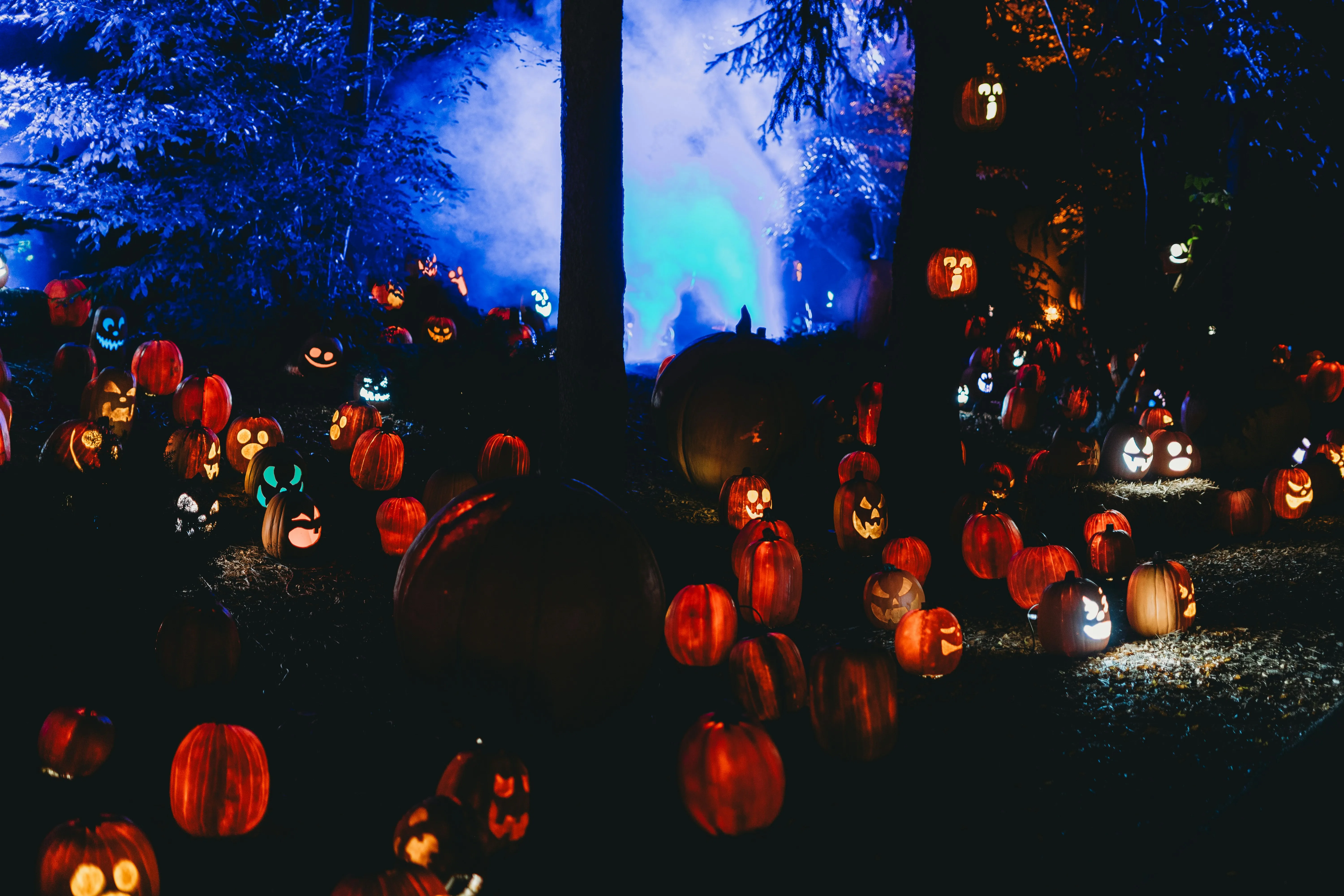 Halloween Night Display with Glowing Pumpkins Wallpaper