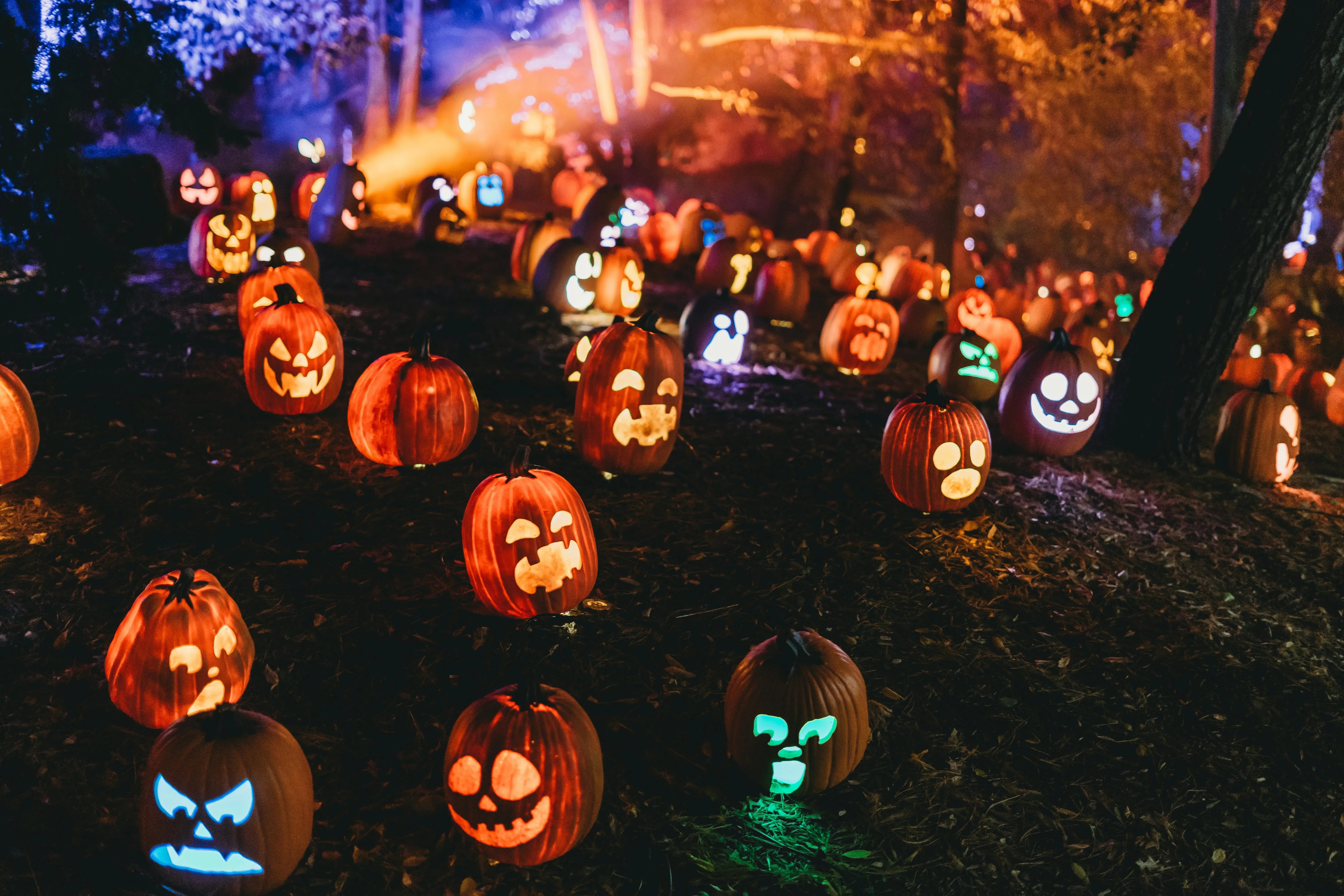 Halloween Night Pathway with Glowing Carved Pumpkins Image