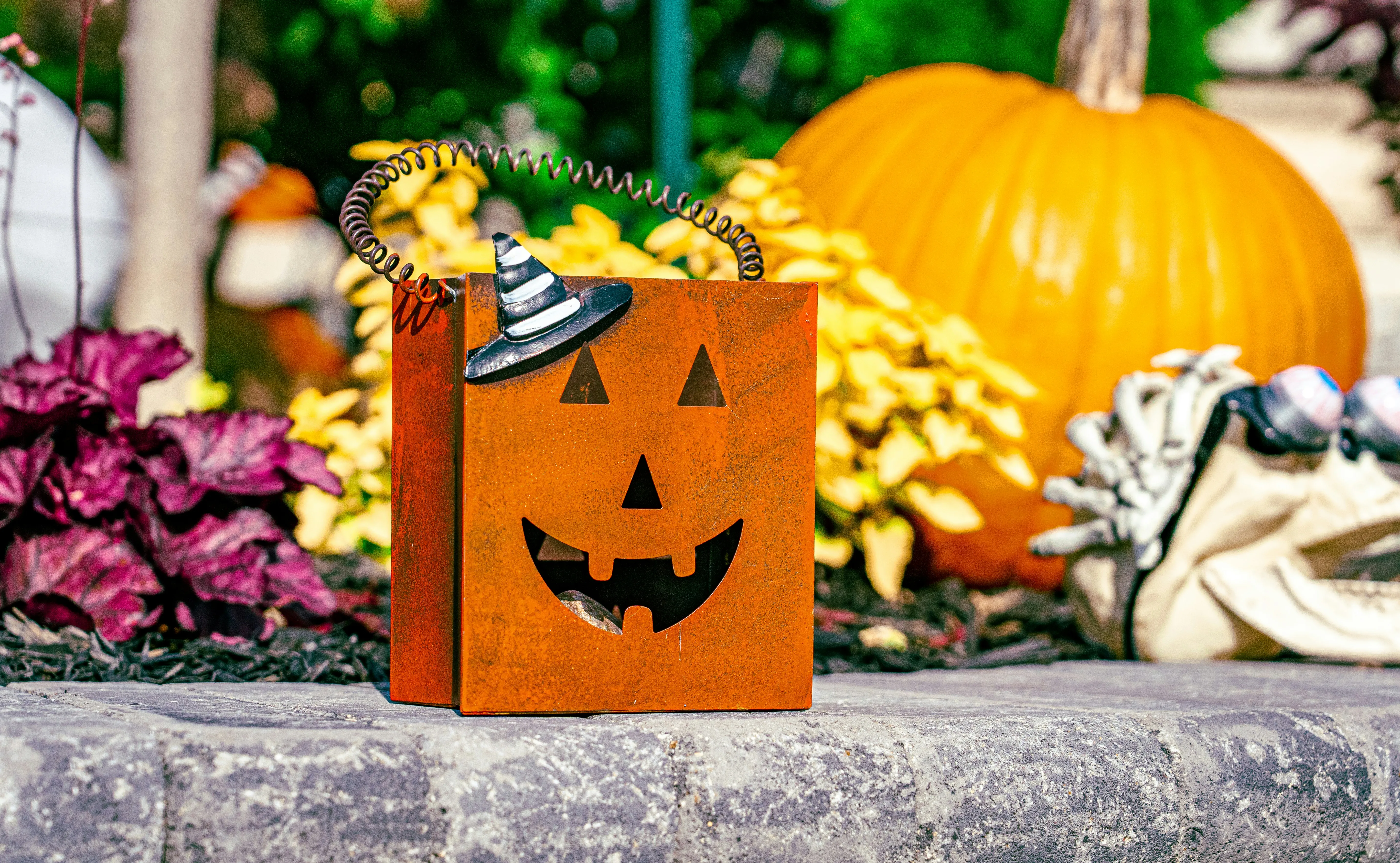 Halloween Pumpkin Box with Seasonal Fall Decoration Image