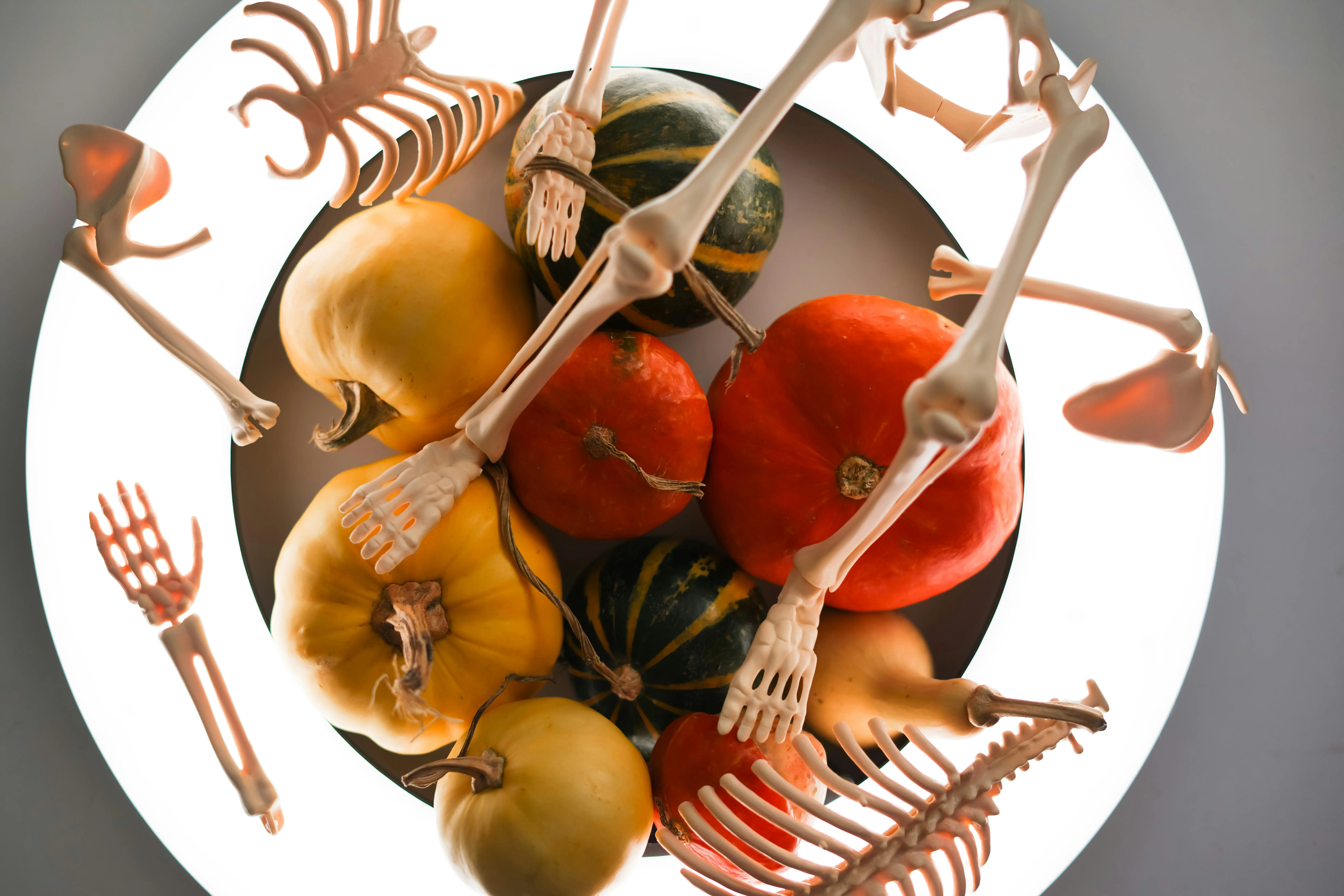 Halloween Pumpkin Decor with Different Skeleton Image HD