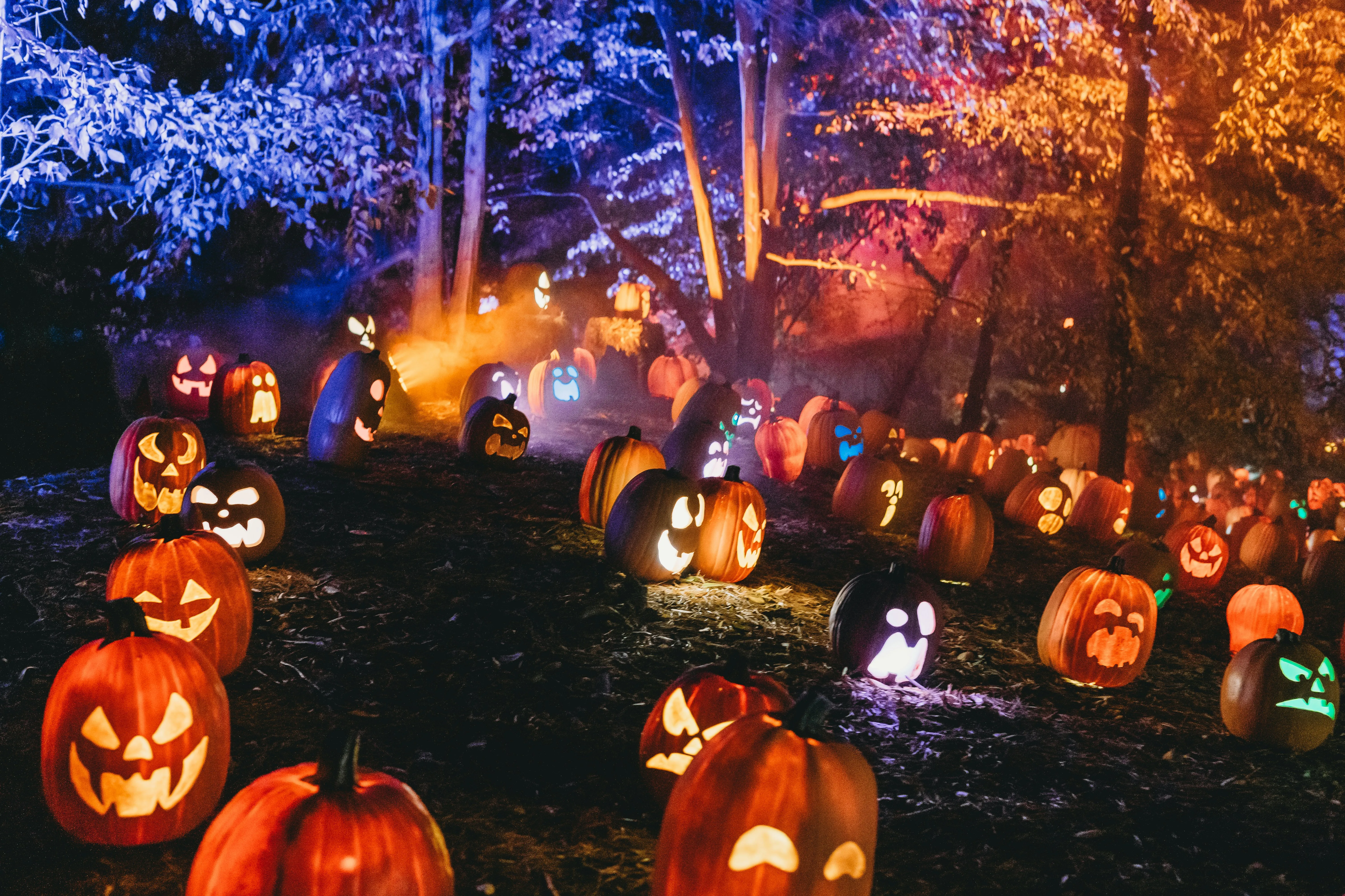 Halloween Pumpkin Display in Bright Night Festival Image