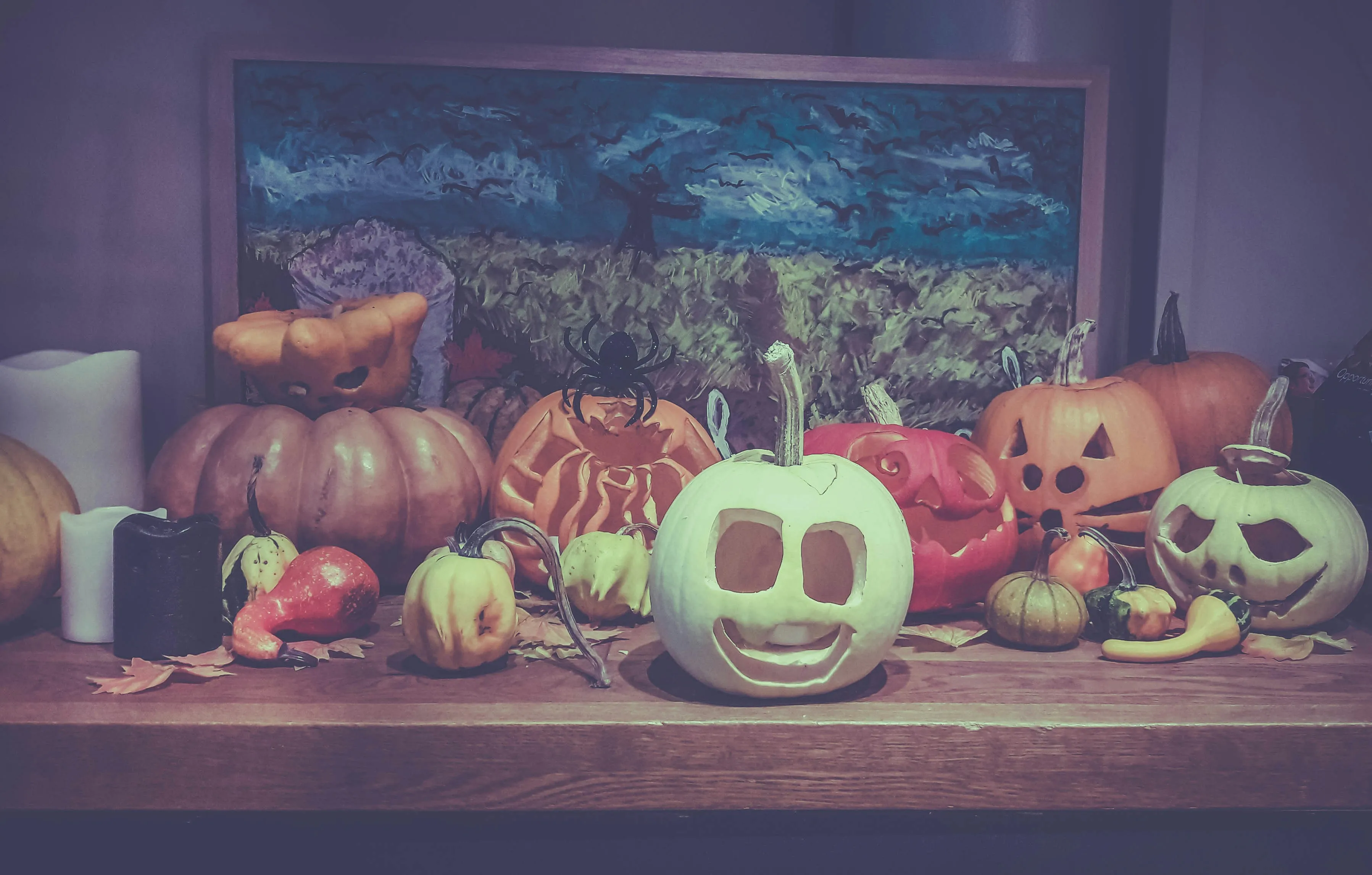 Halloween Pumpkin Display with Various Carved Faces Image
