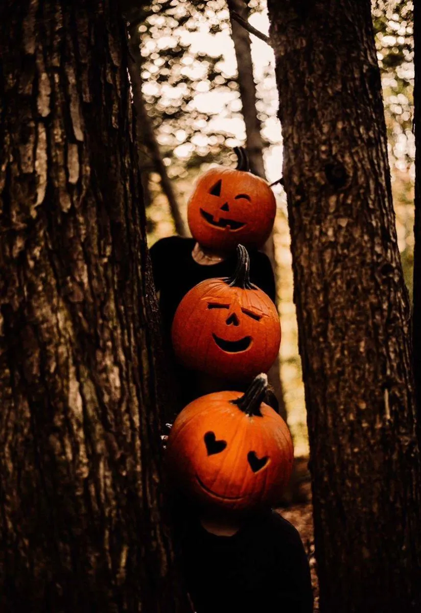 Halloween Pumpkin Head Friends Posing Playfully in Woods