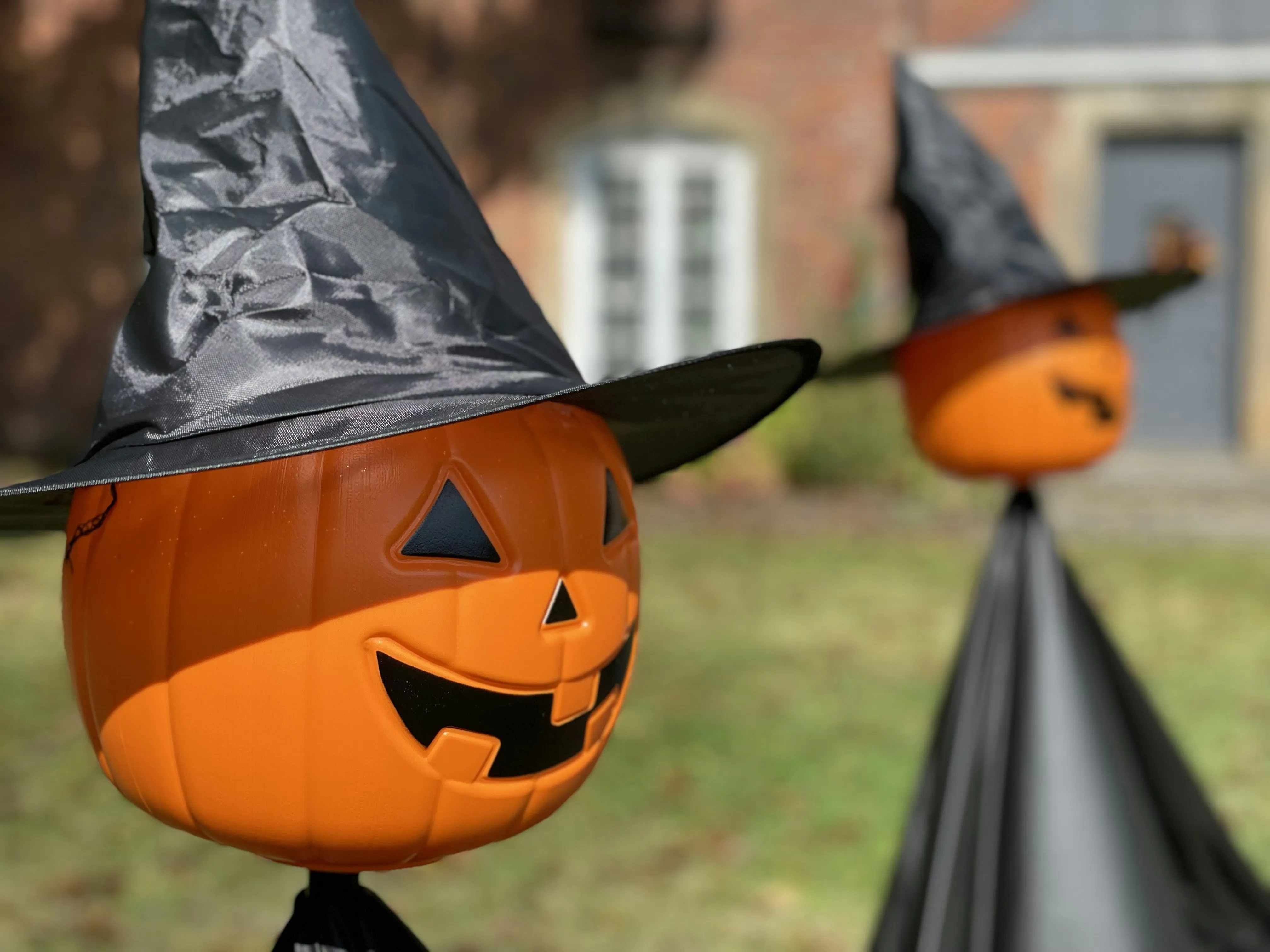 Halloween Pumpkin with Witch Hat Decoration Outdoors Image