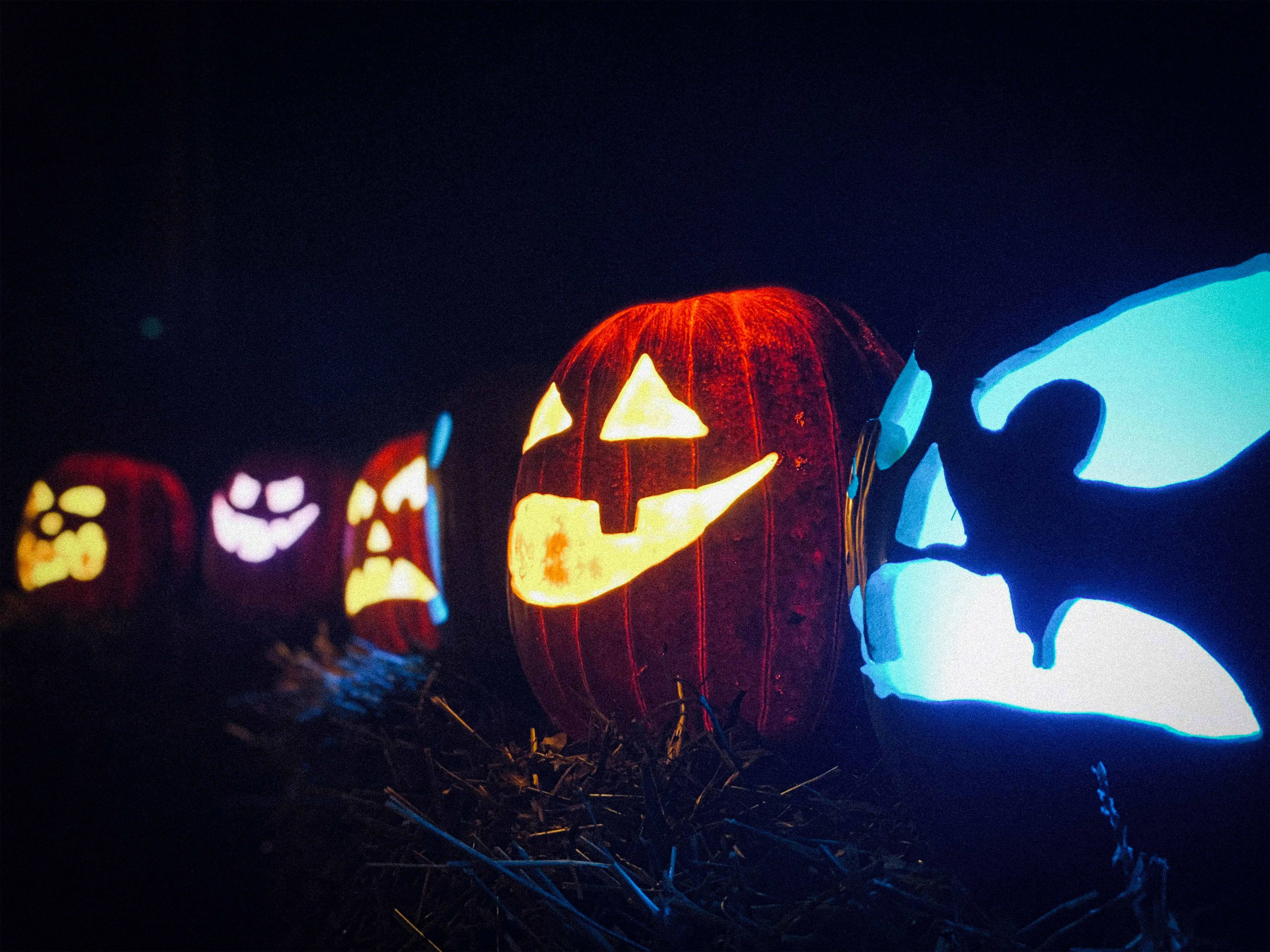 Halloween Pumpkins with Scary Faces and Glowing Lights Image