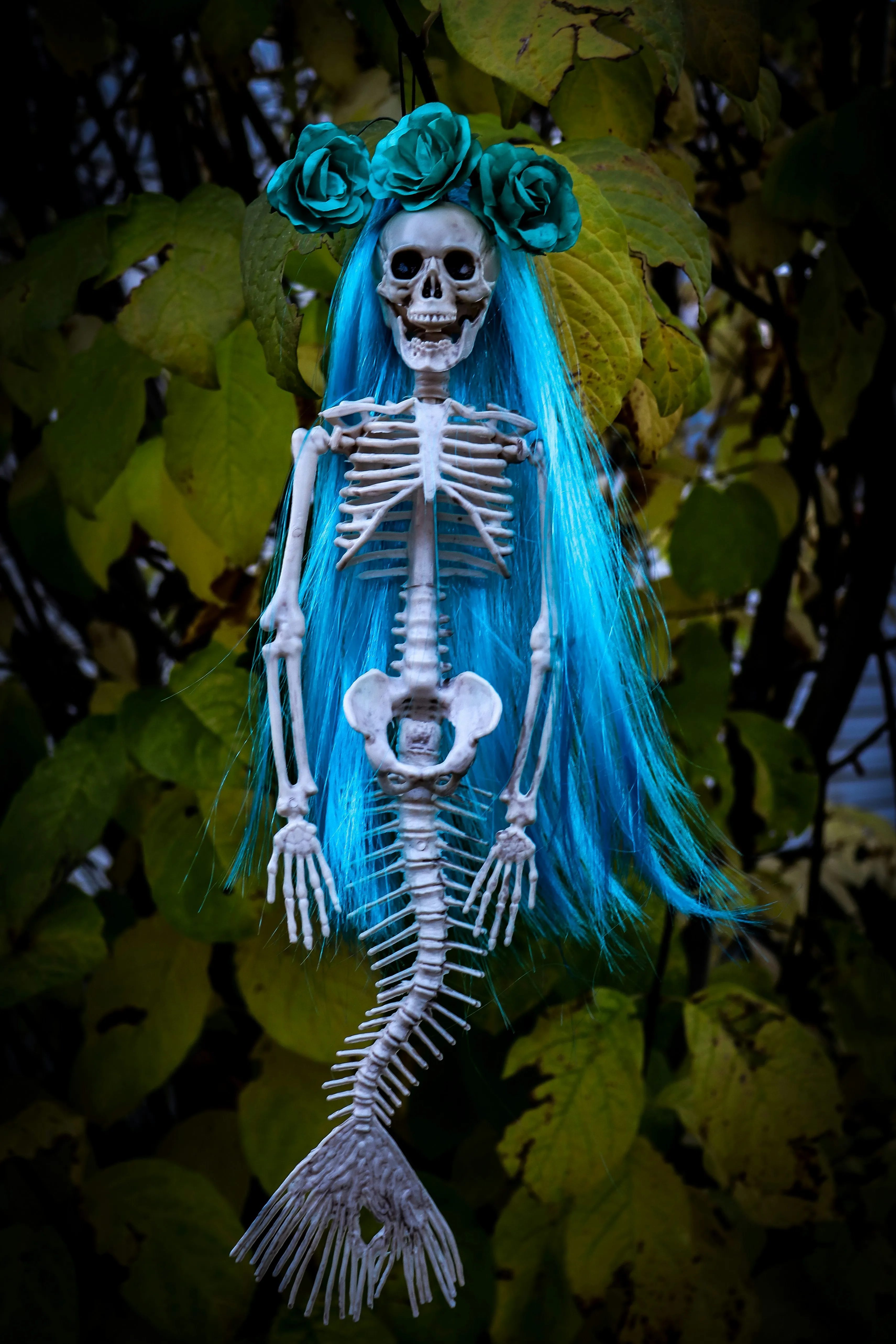 Halloween Skeleton Mermaid Decoration in Nature Wallpaper