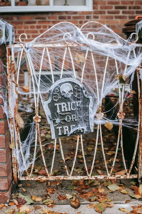 Halloween Themed Cemetery with Spider Web Decorations HD