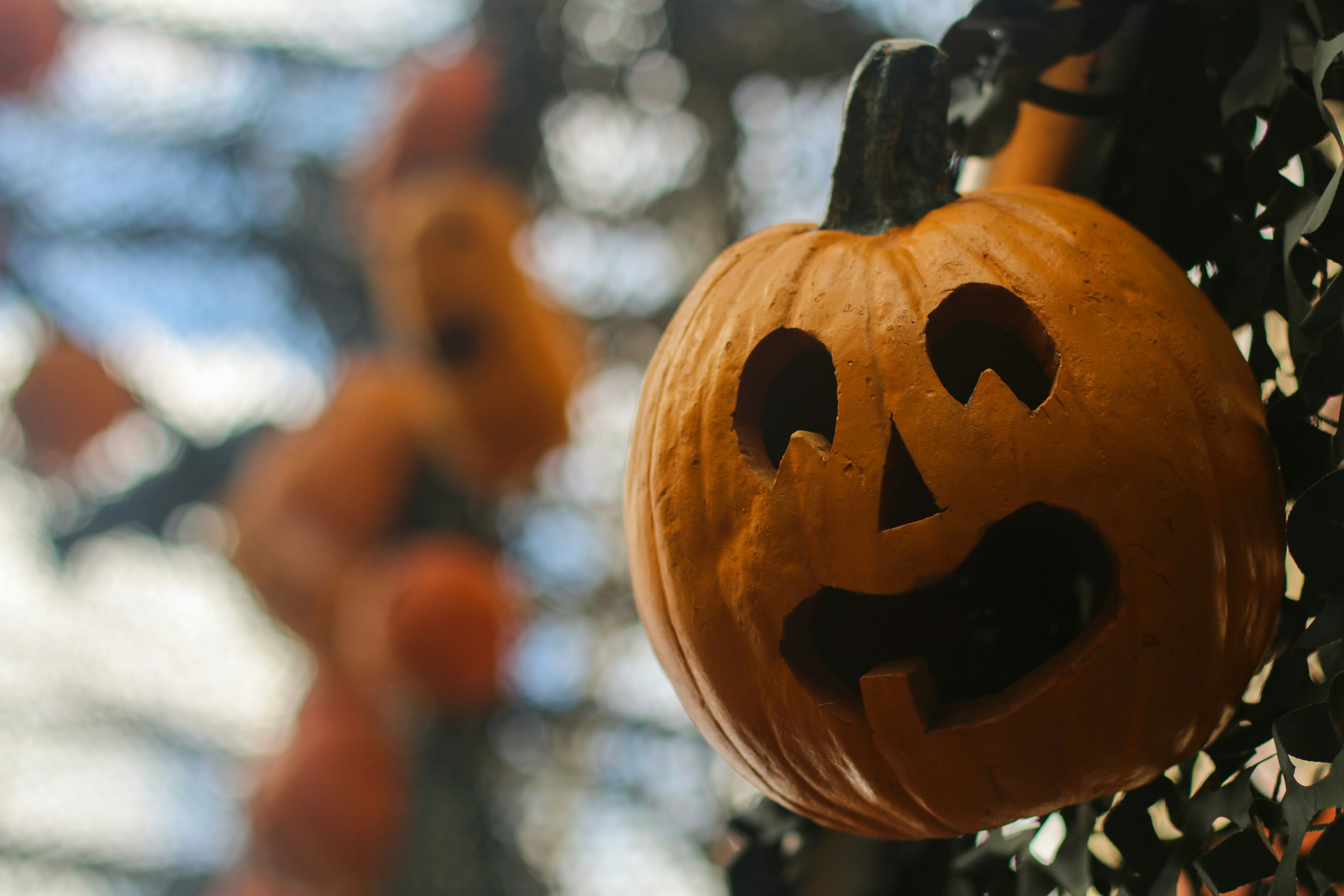Hanging Carved Pumpkins in Halloween Tree Setup Image