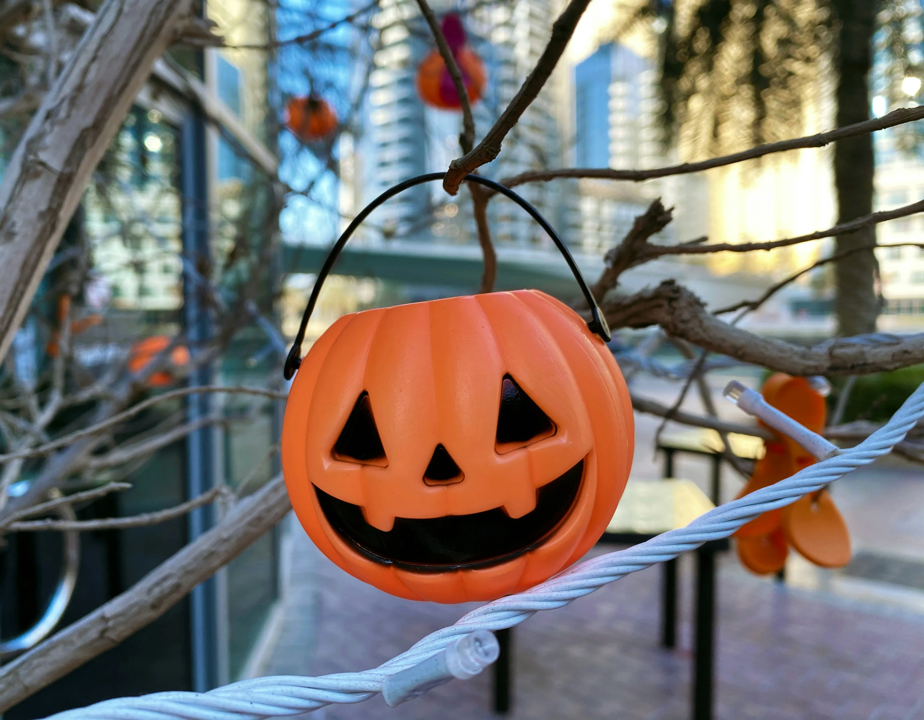 Hanging Jack O Lantern Pumpkin Decoration Outdoors Image