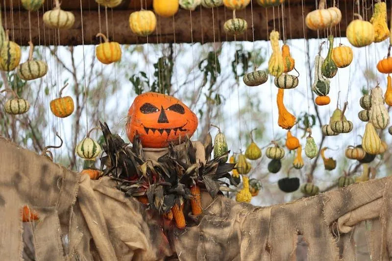 Hanging Pumpkins and Gourds at Halloween Market Wallpaper