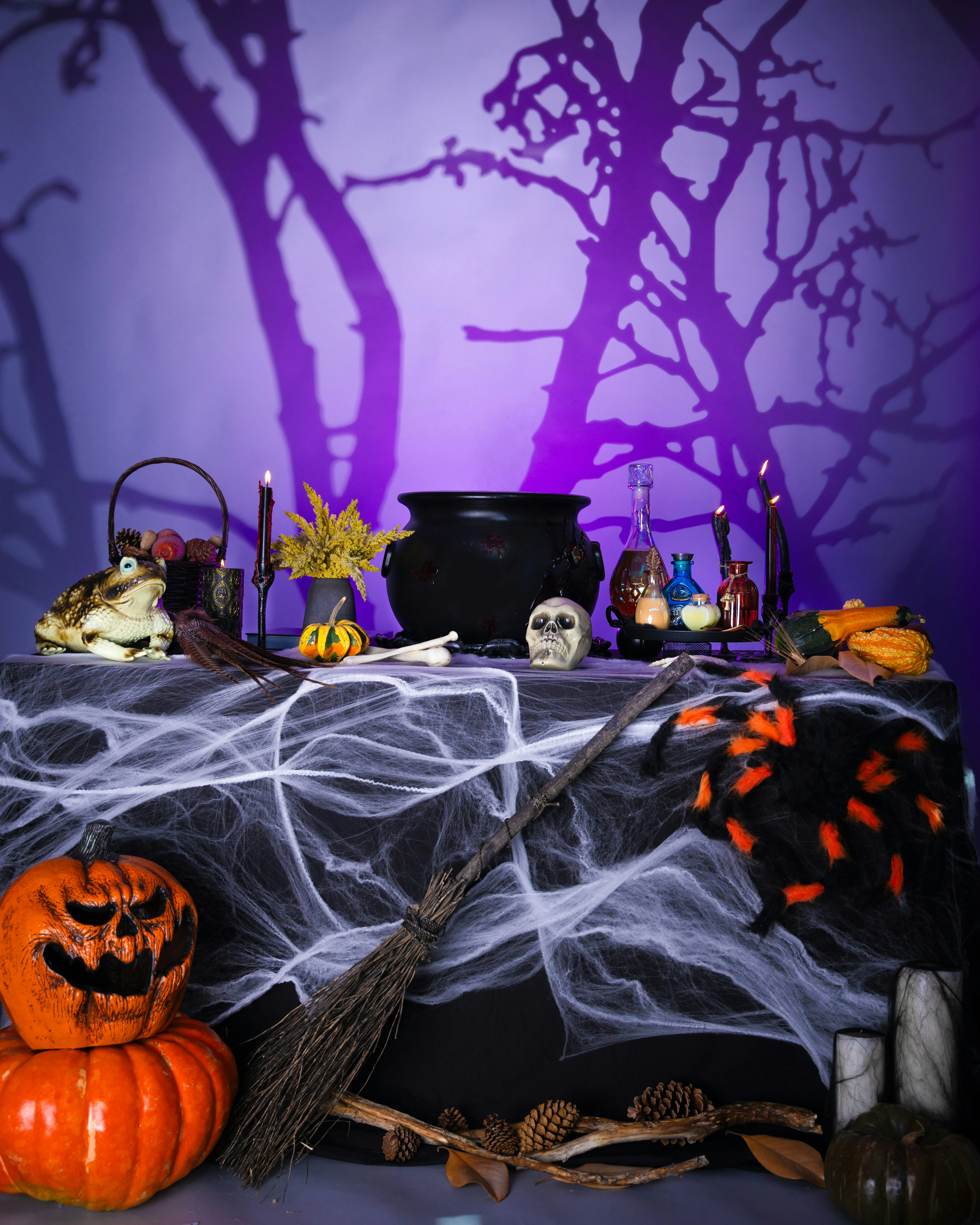 Haunted Halloween Scene with Pumpkins and Spiderweb Image