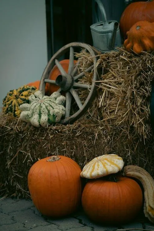 Hay Bale Decor with Pumpkins and Rustic Wagon Wheel Image