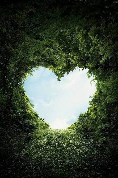 Heart shaped image with full green leaves image wallpaper