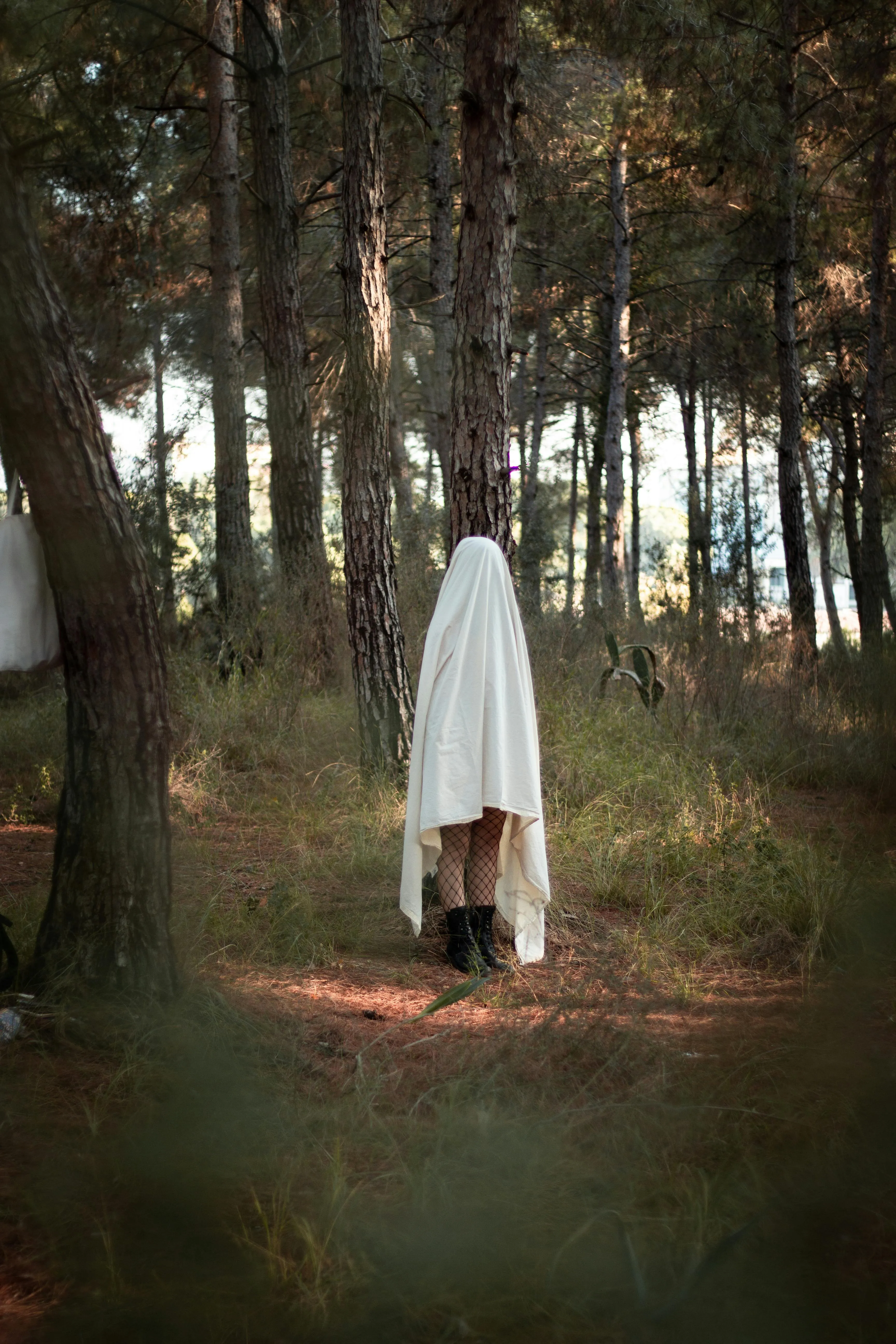 Hooded Figure Standing in Forest Wearing White Sheet image