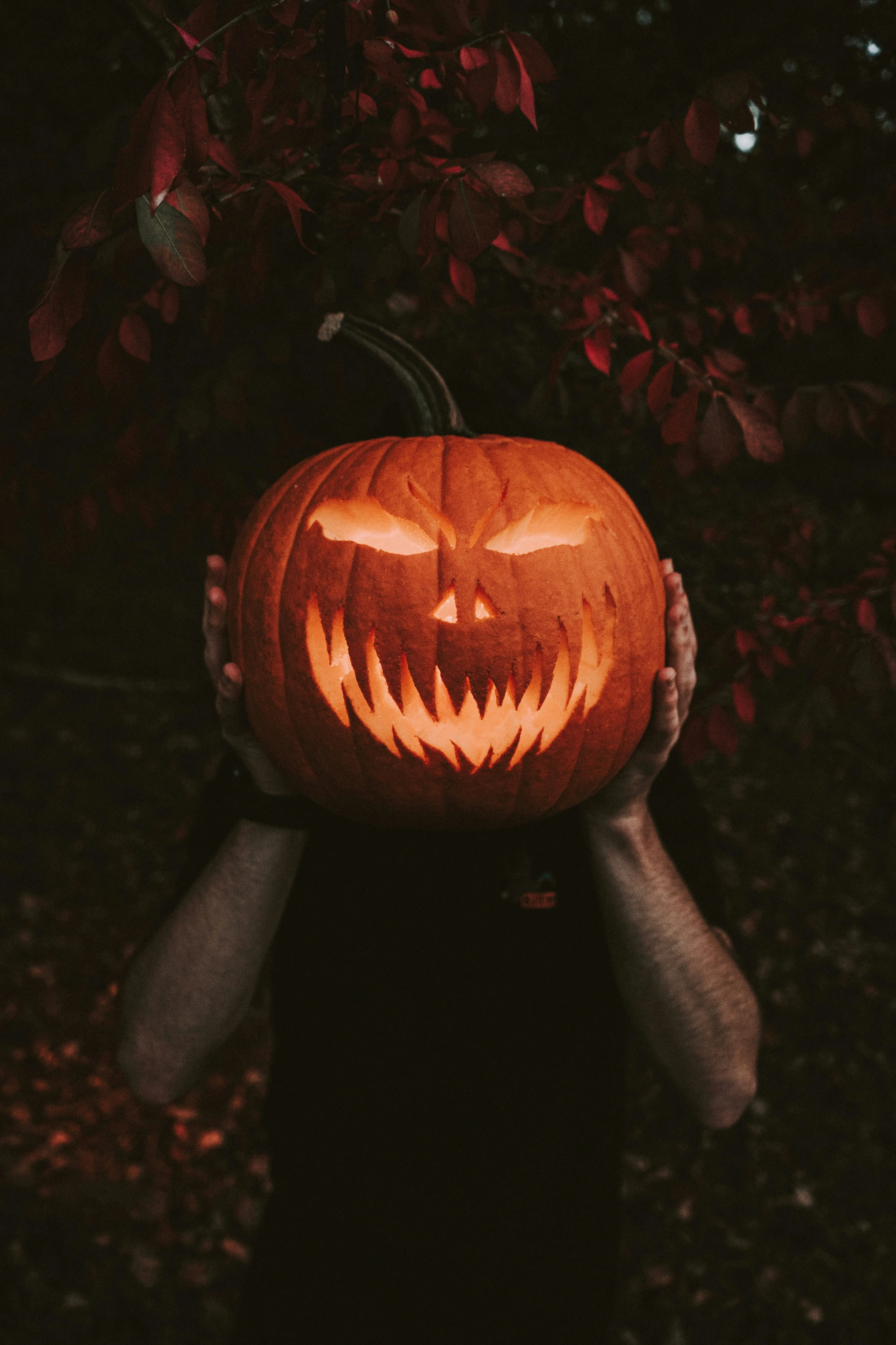 Jack o Lantern Mask in Dark Forest Setting Wallpaper