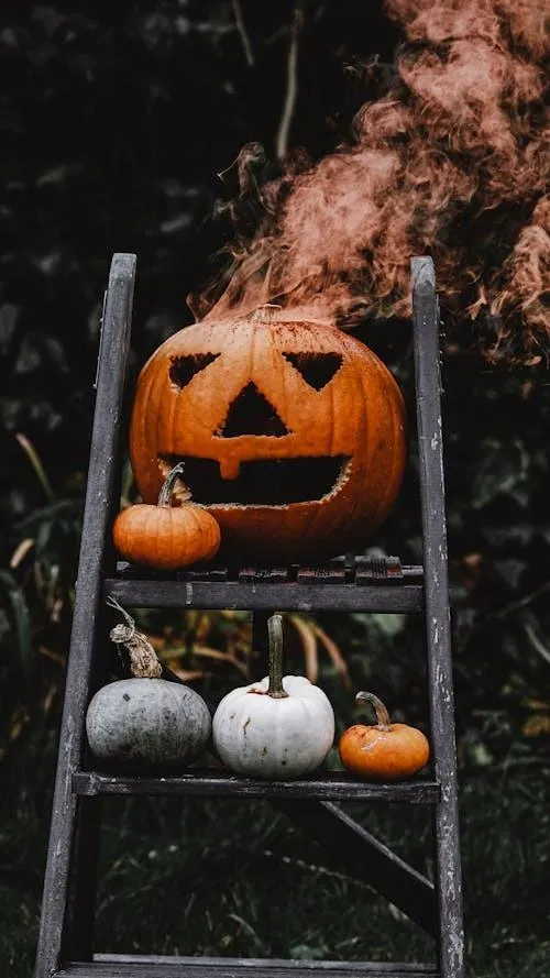 Jack O Lantern on Black Ladder with White Gourds Wallpaper
