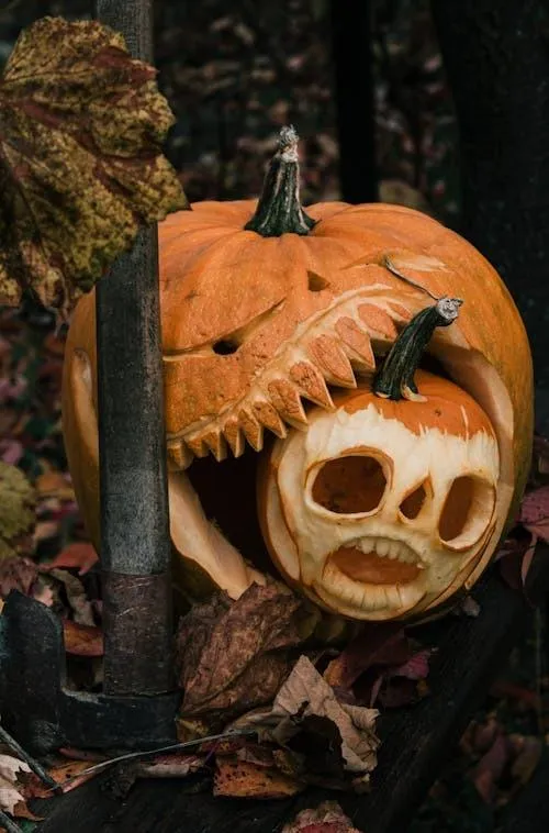 Jack O Lantern on Tree with Bitting Mini Carved Pumpkin