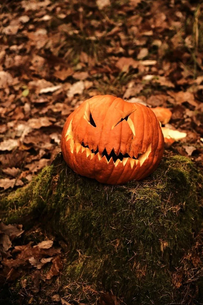 Jack O Lantern Pumpkin Sitting on Fall Leaves Wallpaper