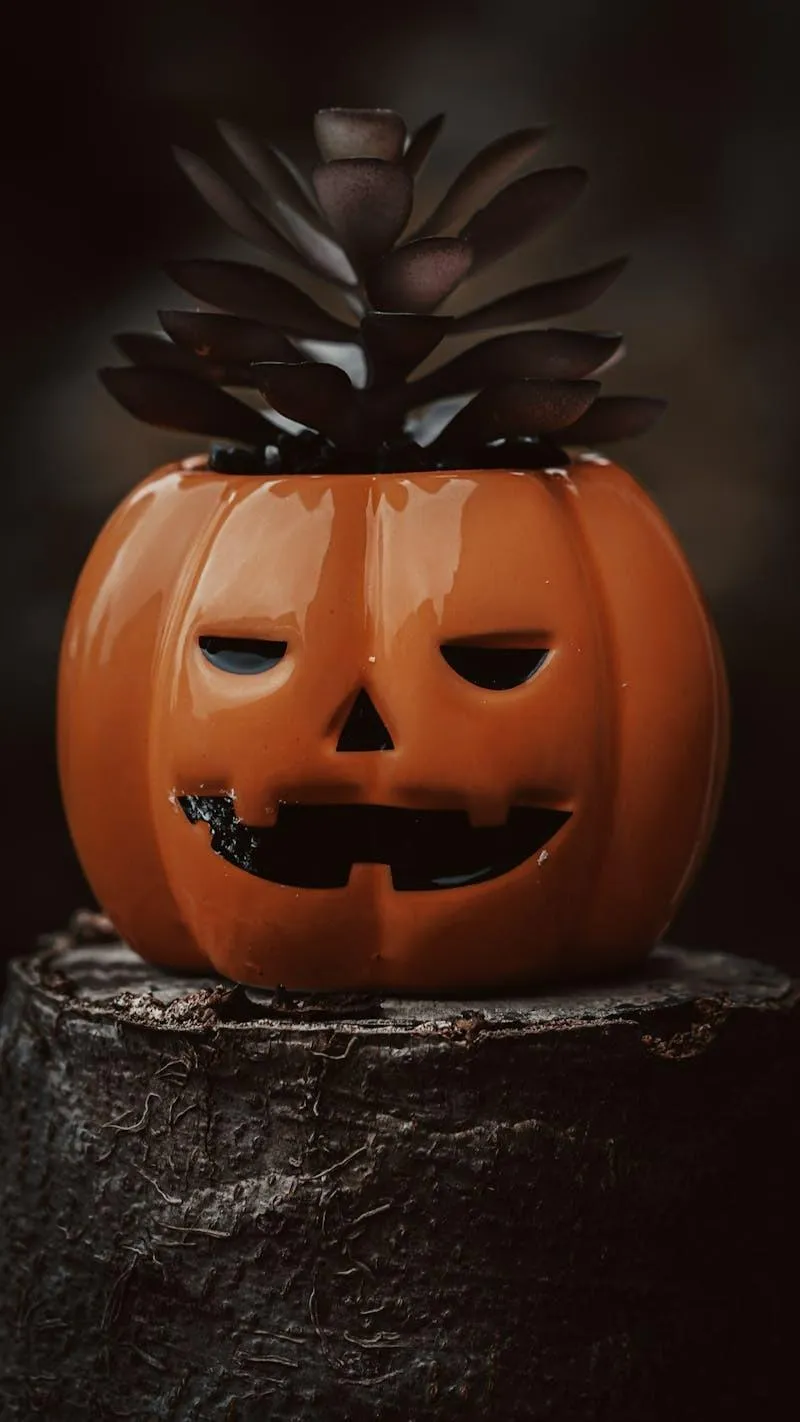 Jack O Lantern with Pine Cone on Dark Halloween Night