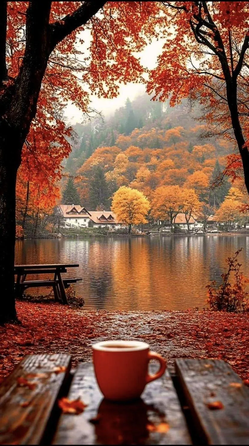 Lakefront Table with Tea Cup and Autumn Trees Wallpaper