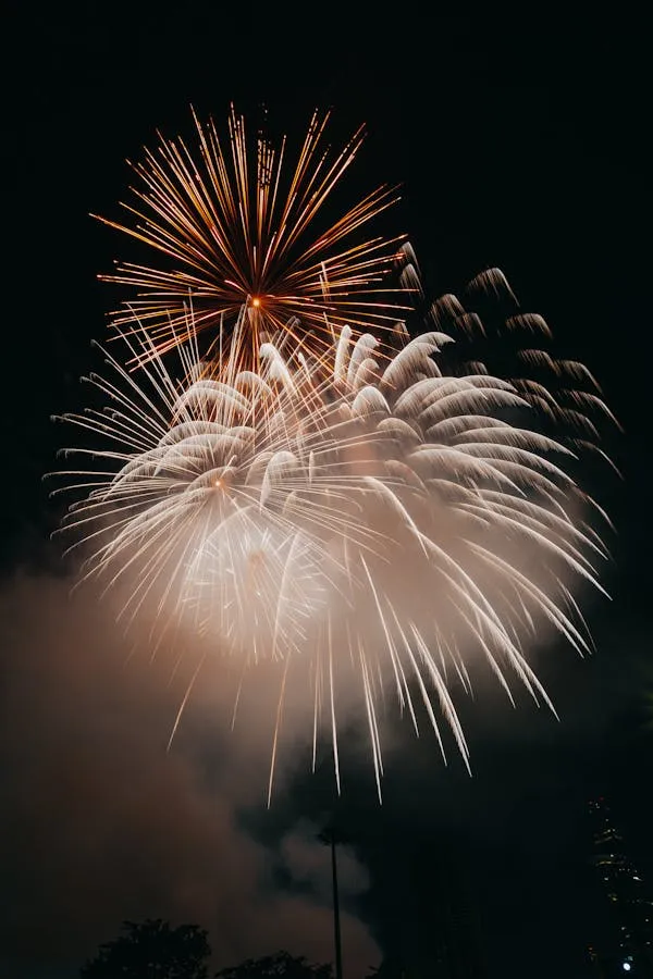 Large Bright Fireworks with Colorful Sparks in the Sky image