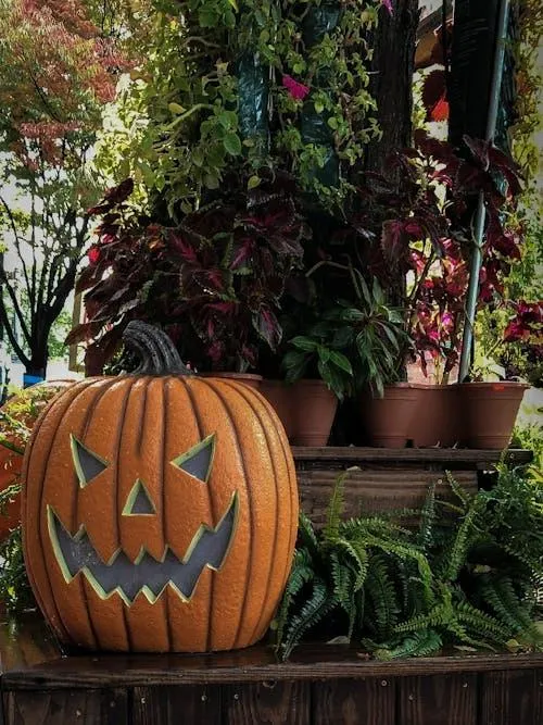 Large Carved Pumpkin Display in Garden Setting Wallpaper