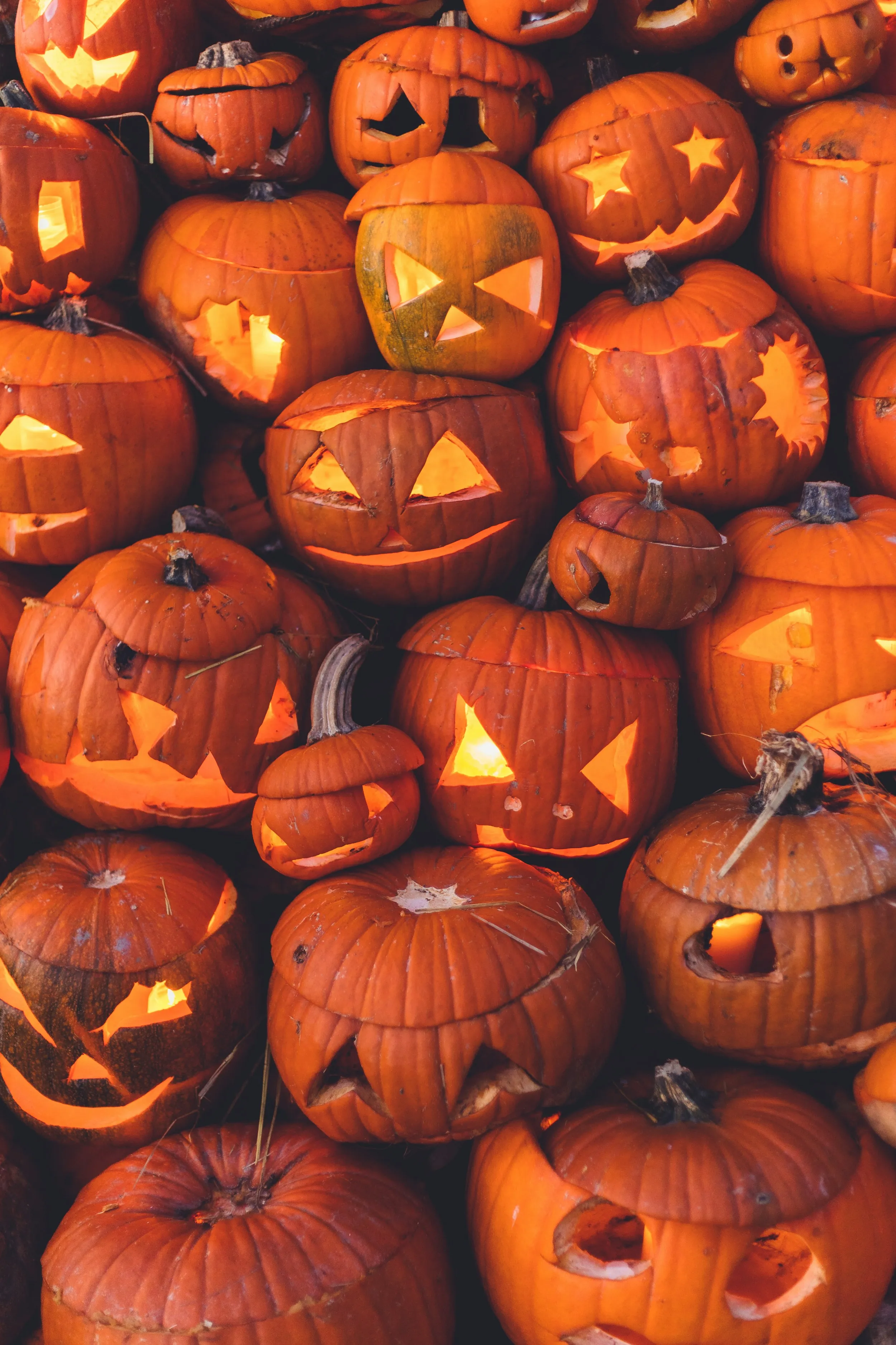 Large Cluster Of Carved Pumpkins For Halloween Decoration