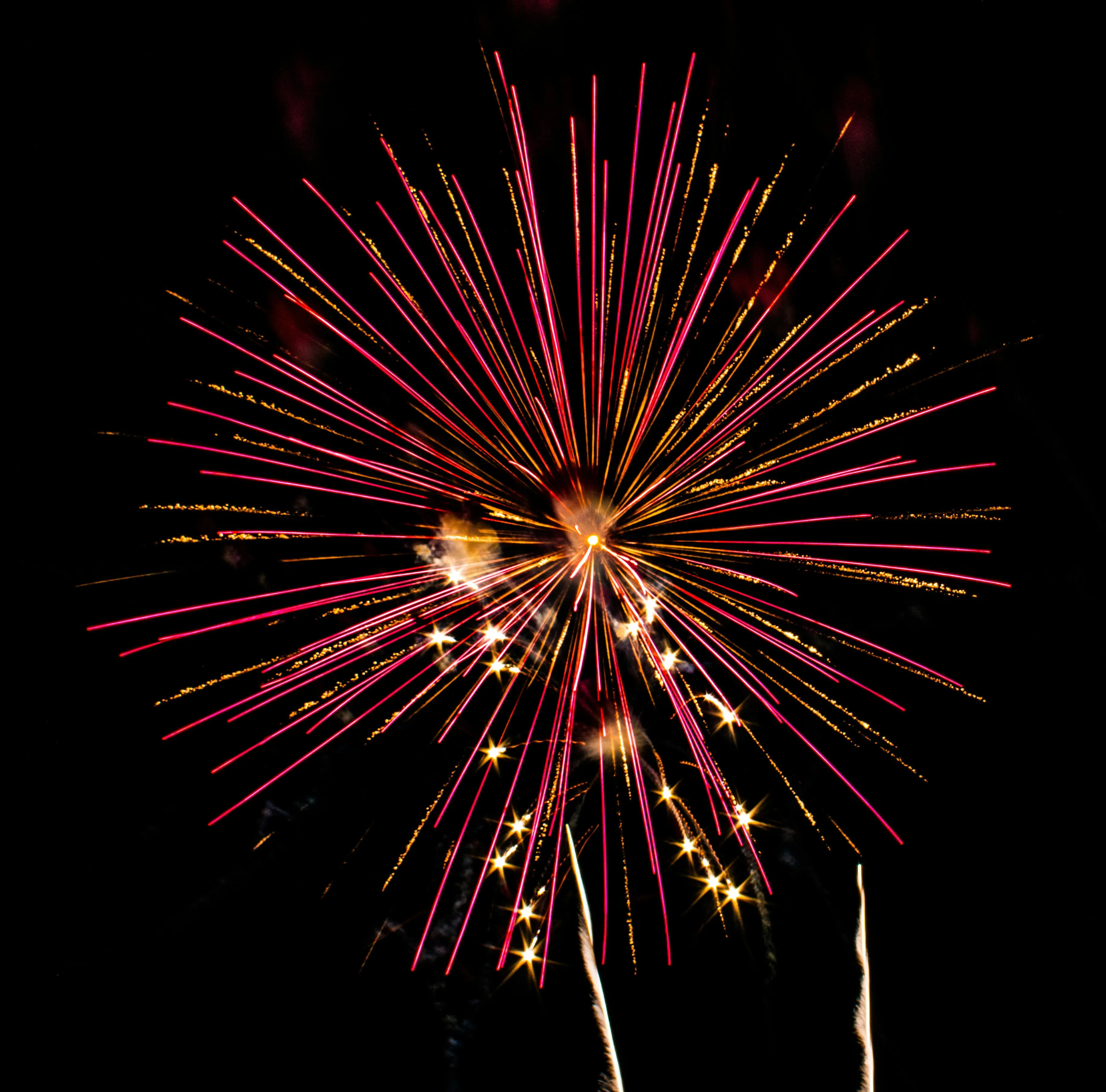 Large firework bursting in multiple directions in the sky